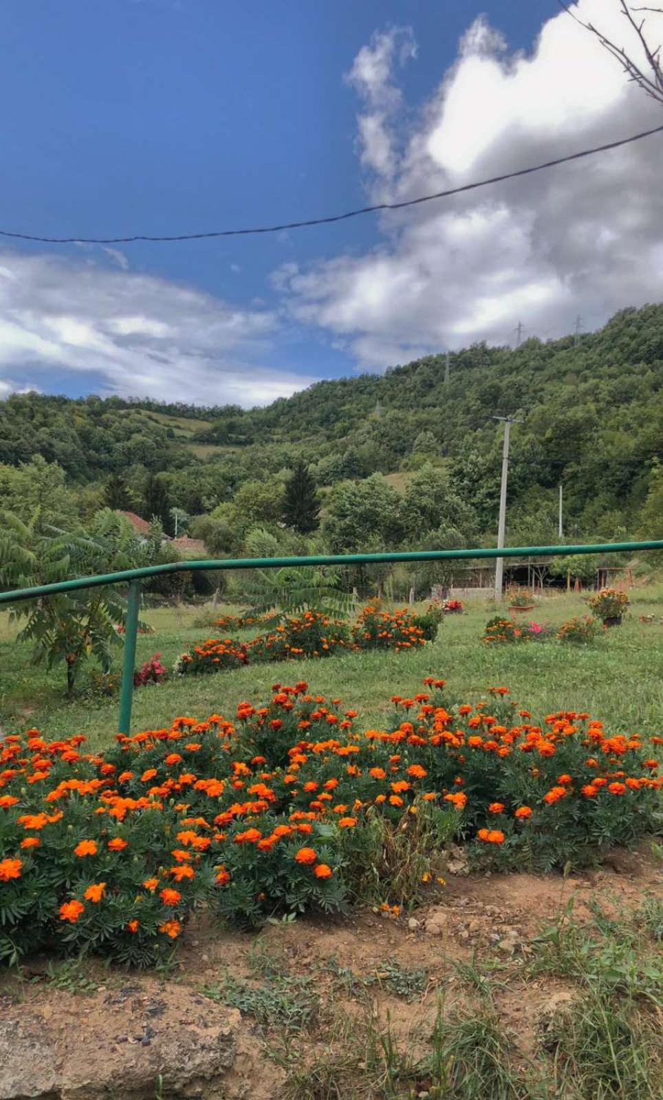 Apartmani Kod Mikija