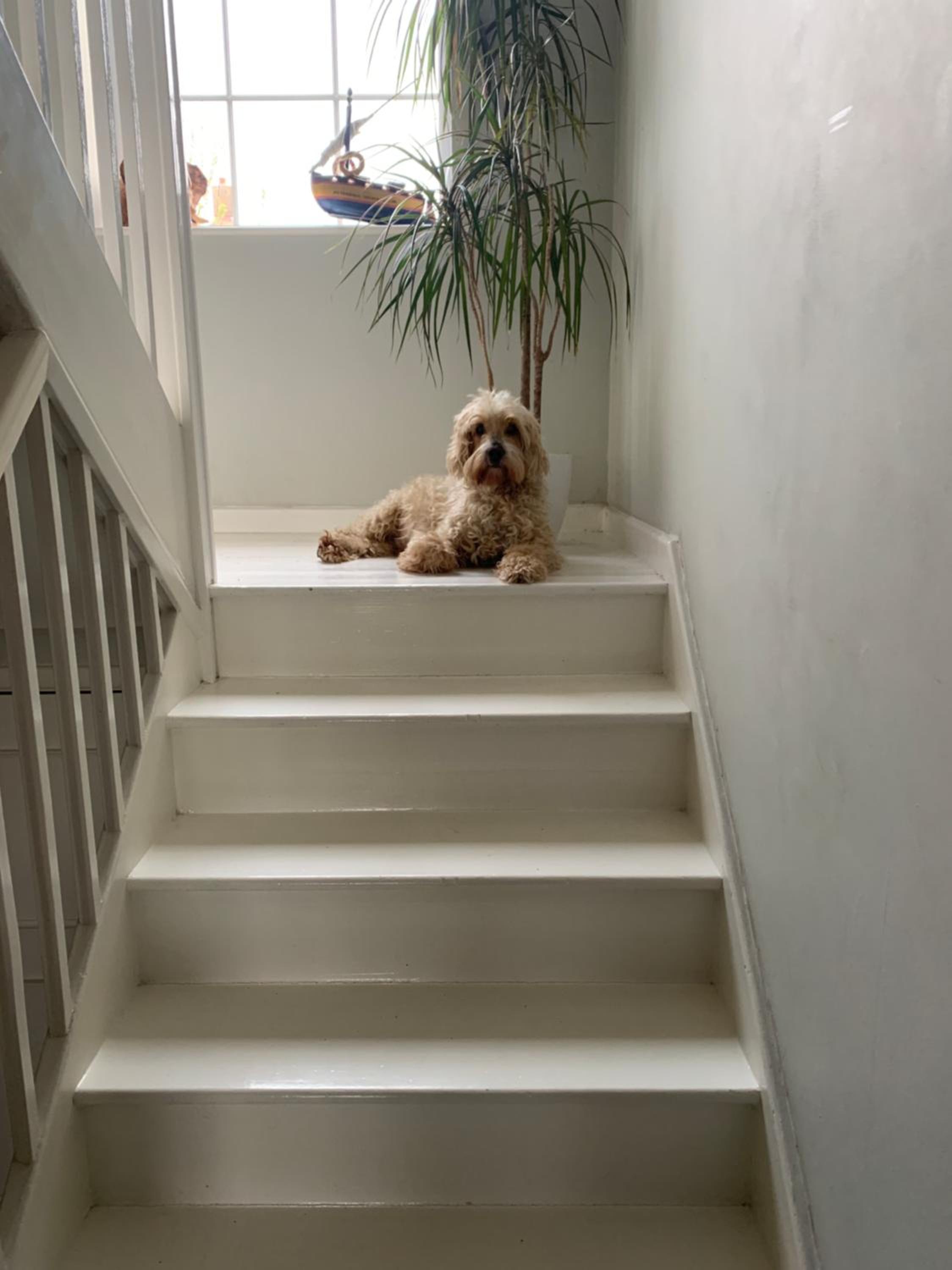 Photo 44