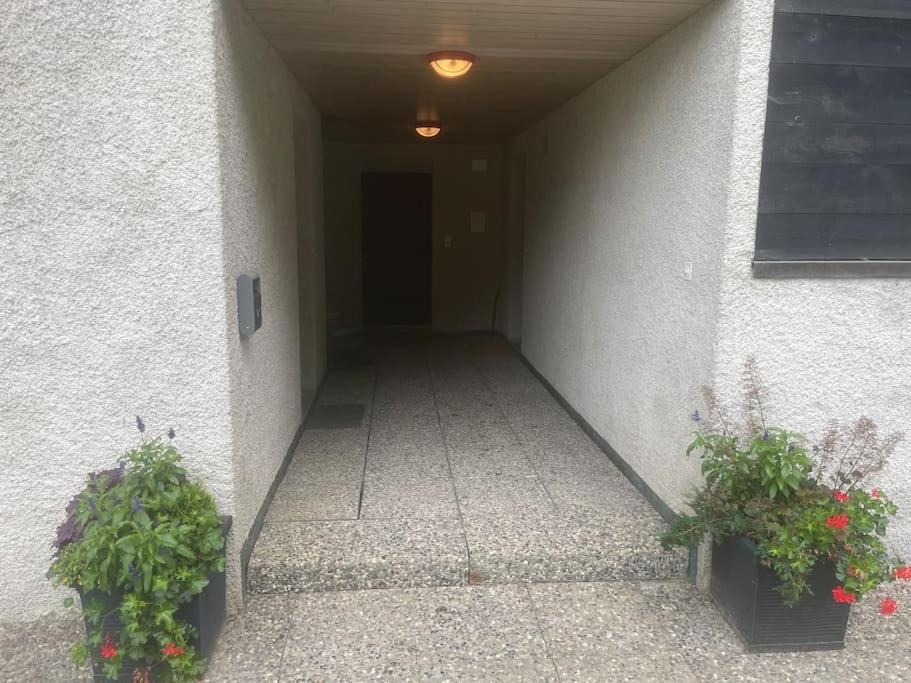 Magnifique Studio à Moléson