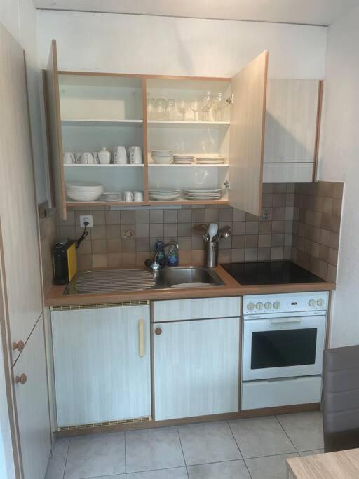 Magnifique Studio à Moléson