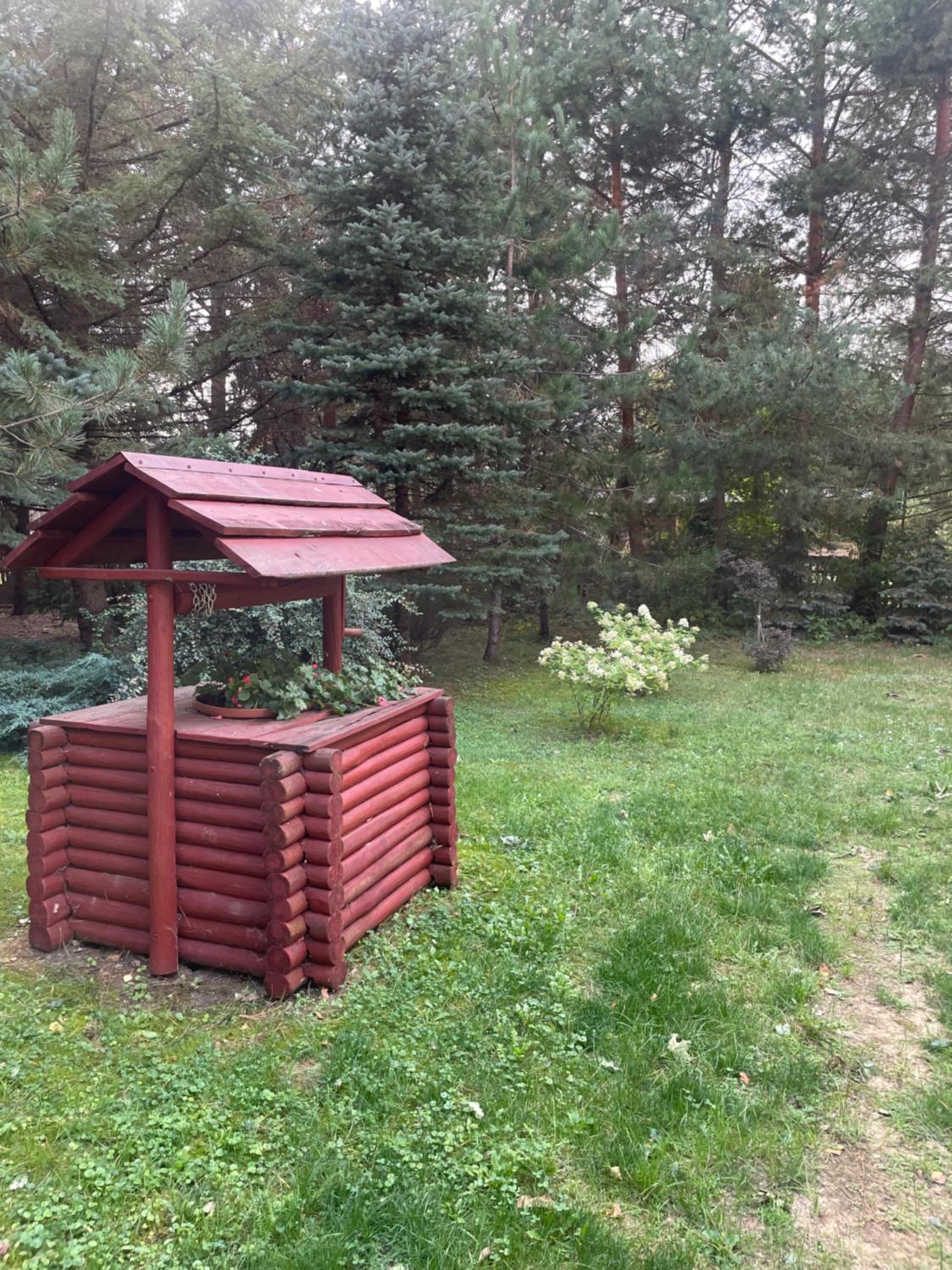 Photo 25
