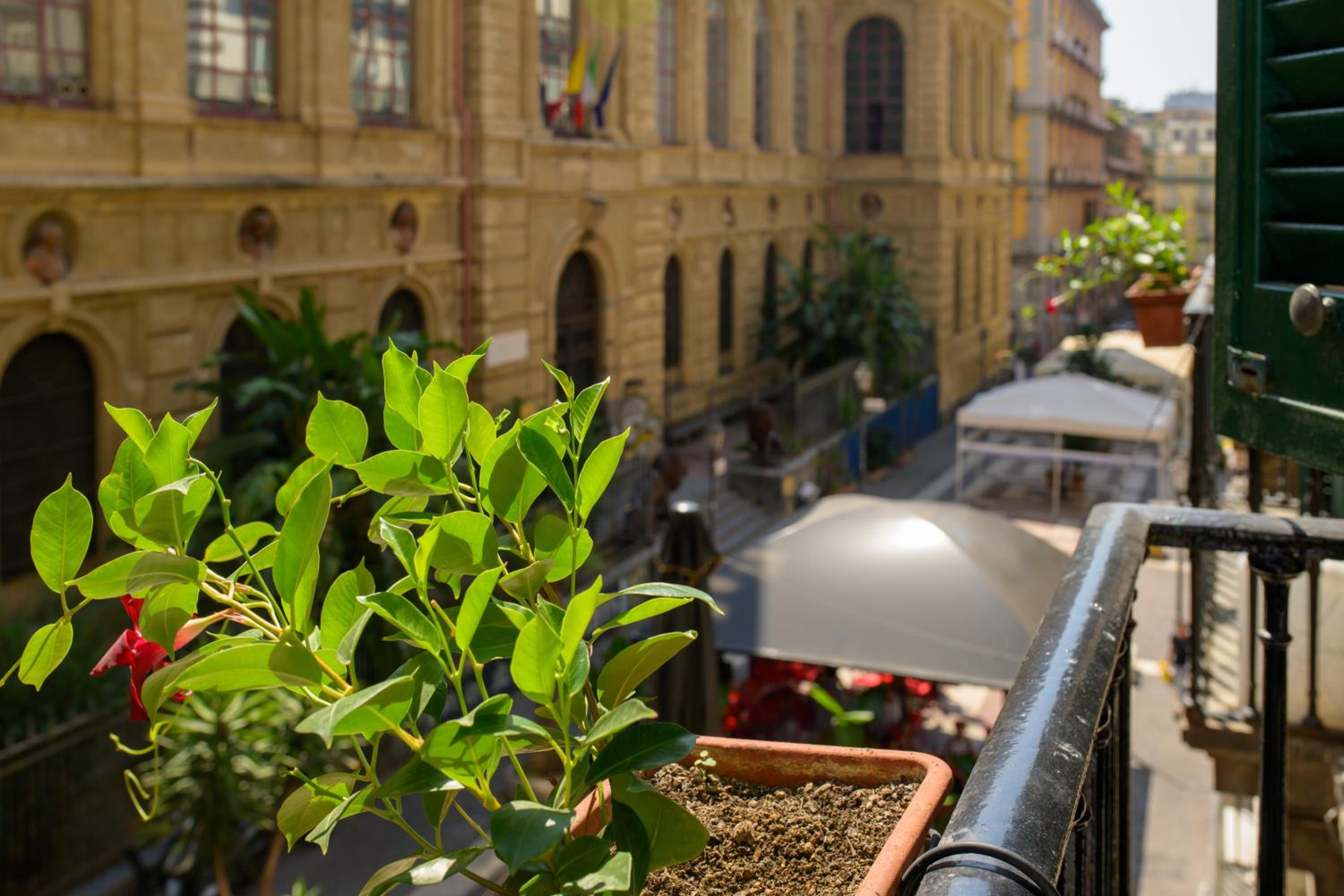 Enjoy Naples
