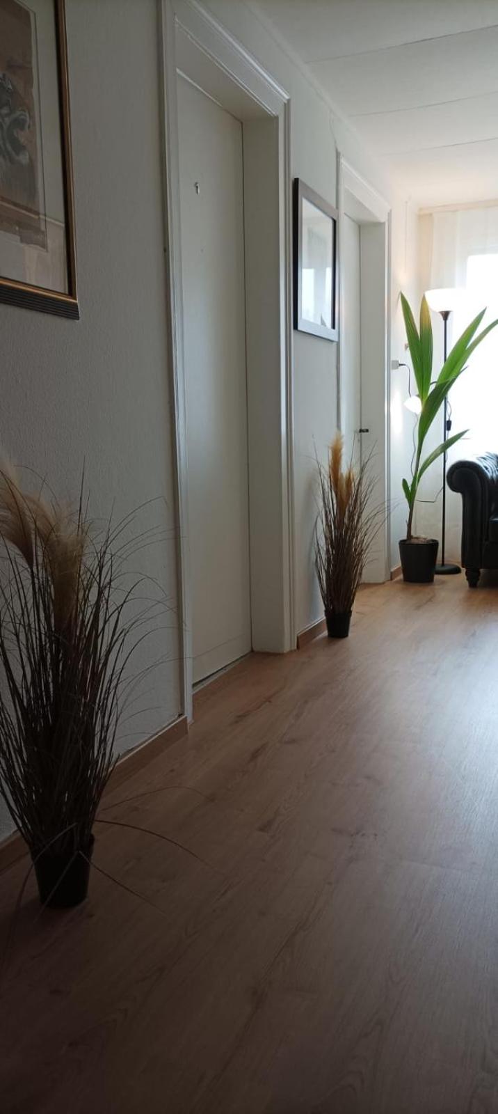 NTN HOUSE