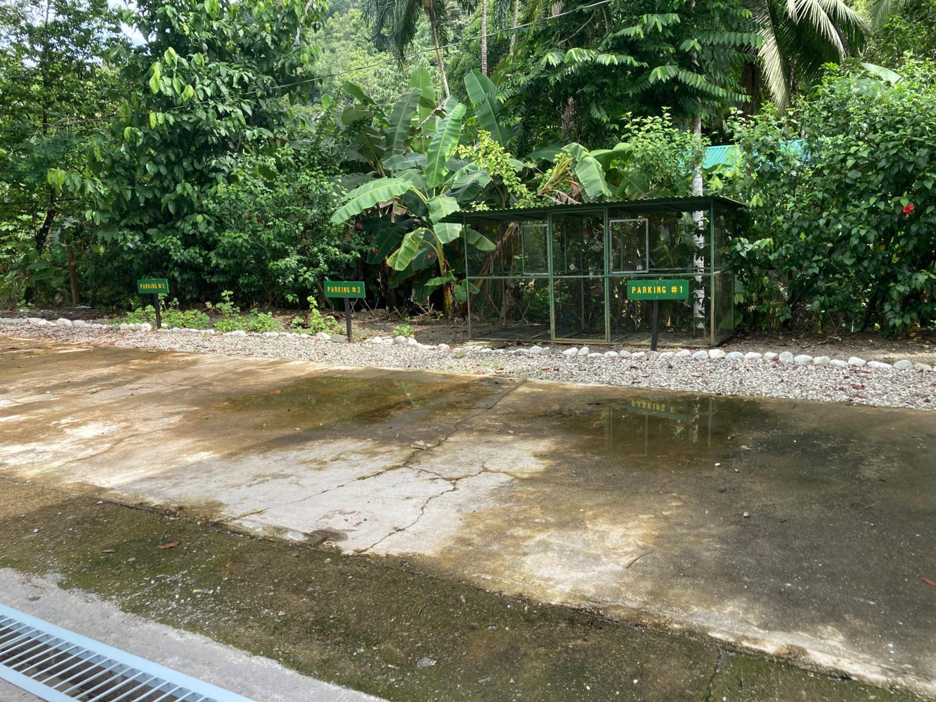 YEJOS Jungle Lodge