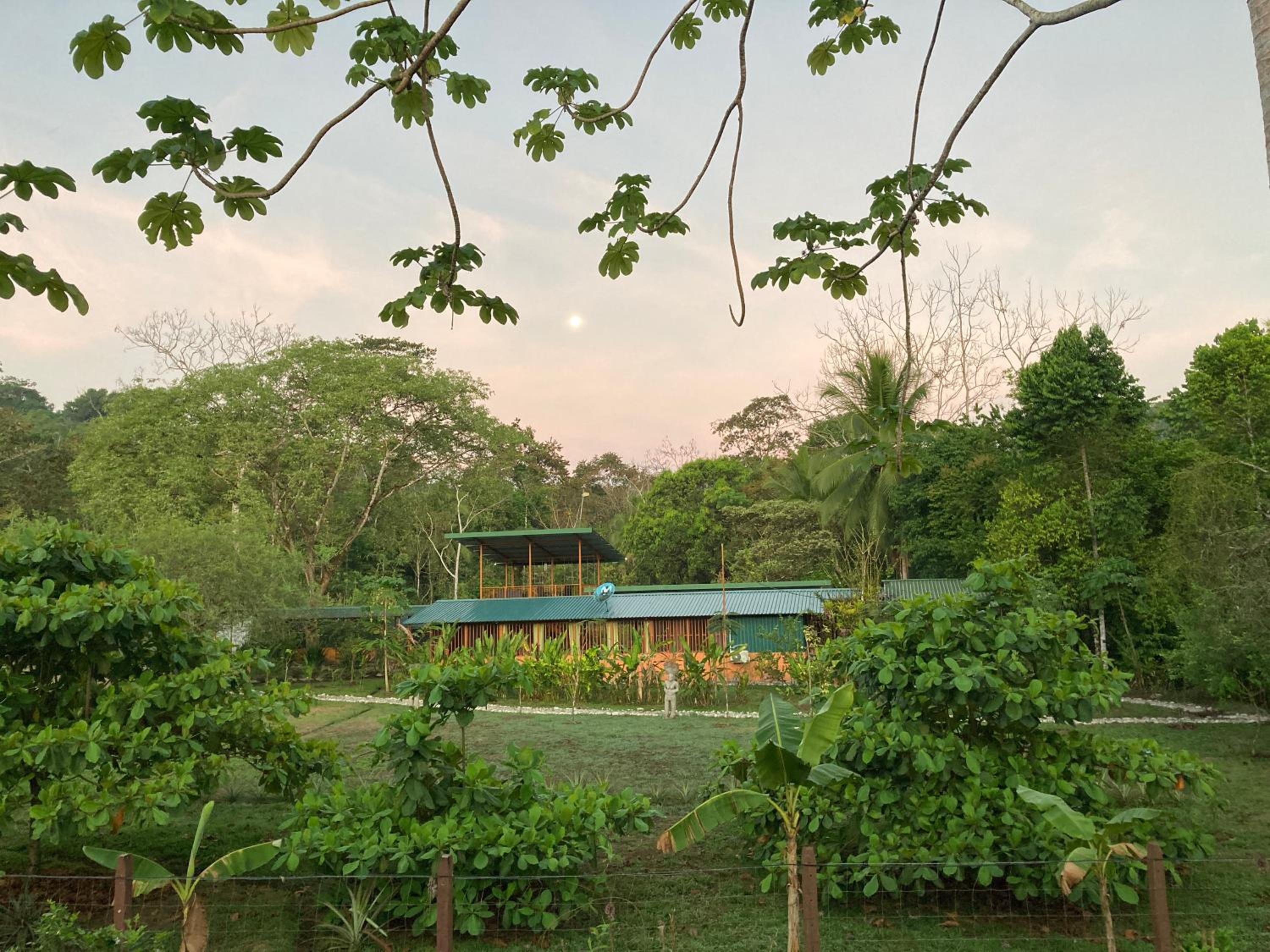 YEJOS Jungle Lodge