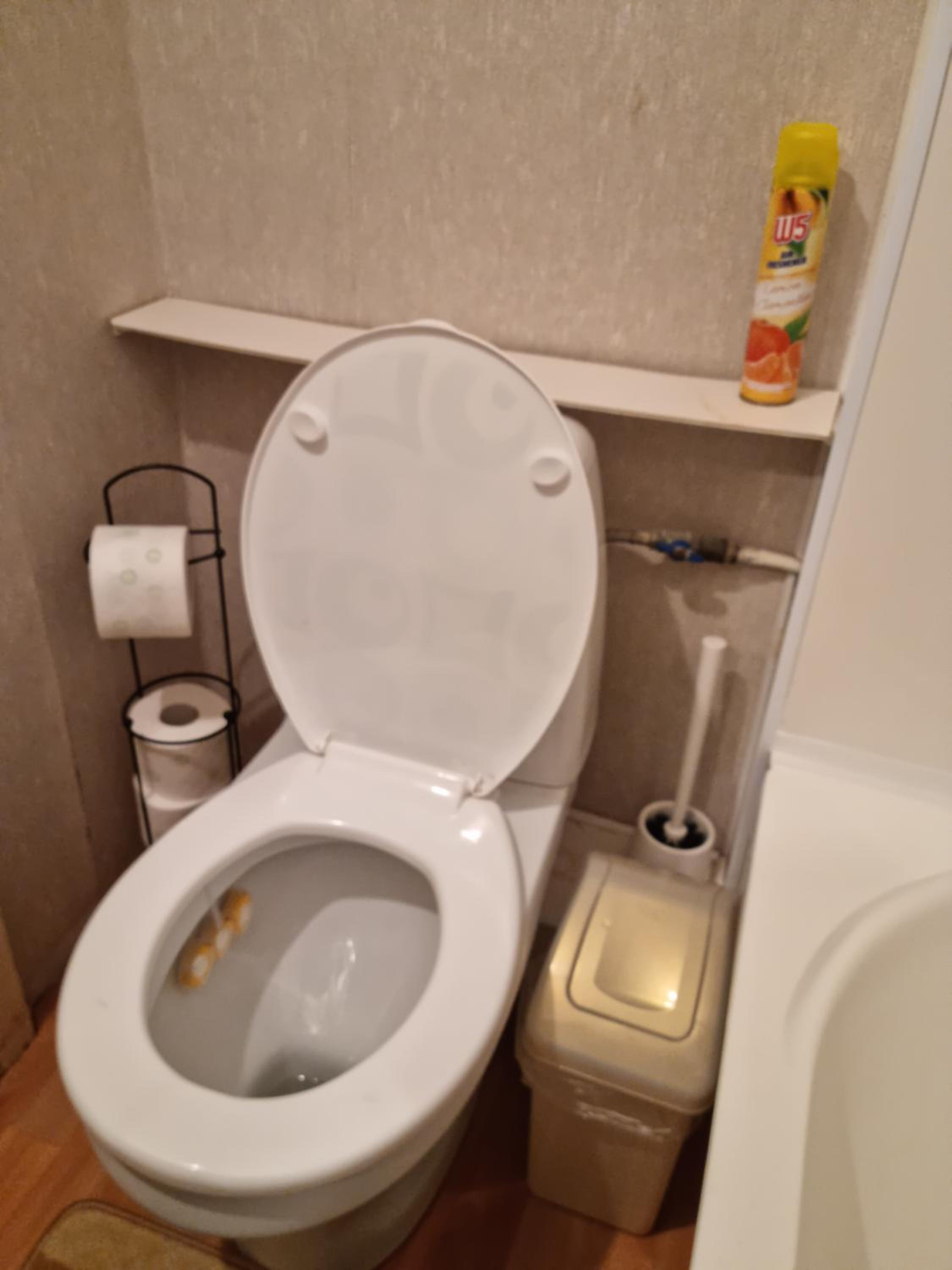 Photo 12