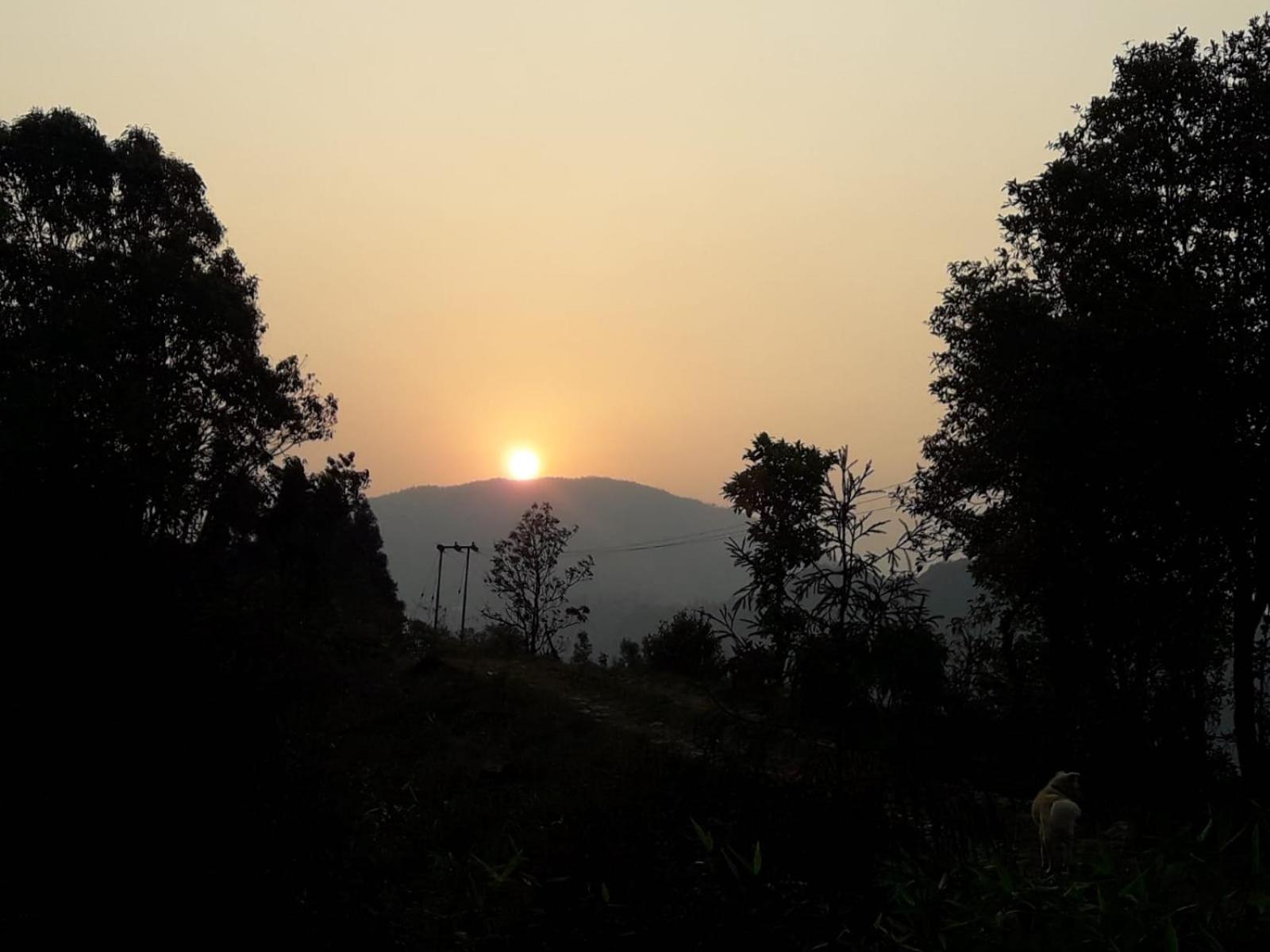 Photo 43