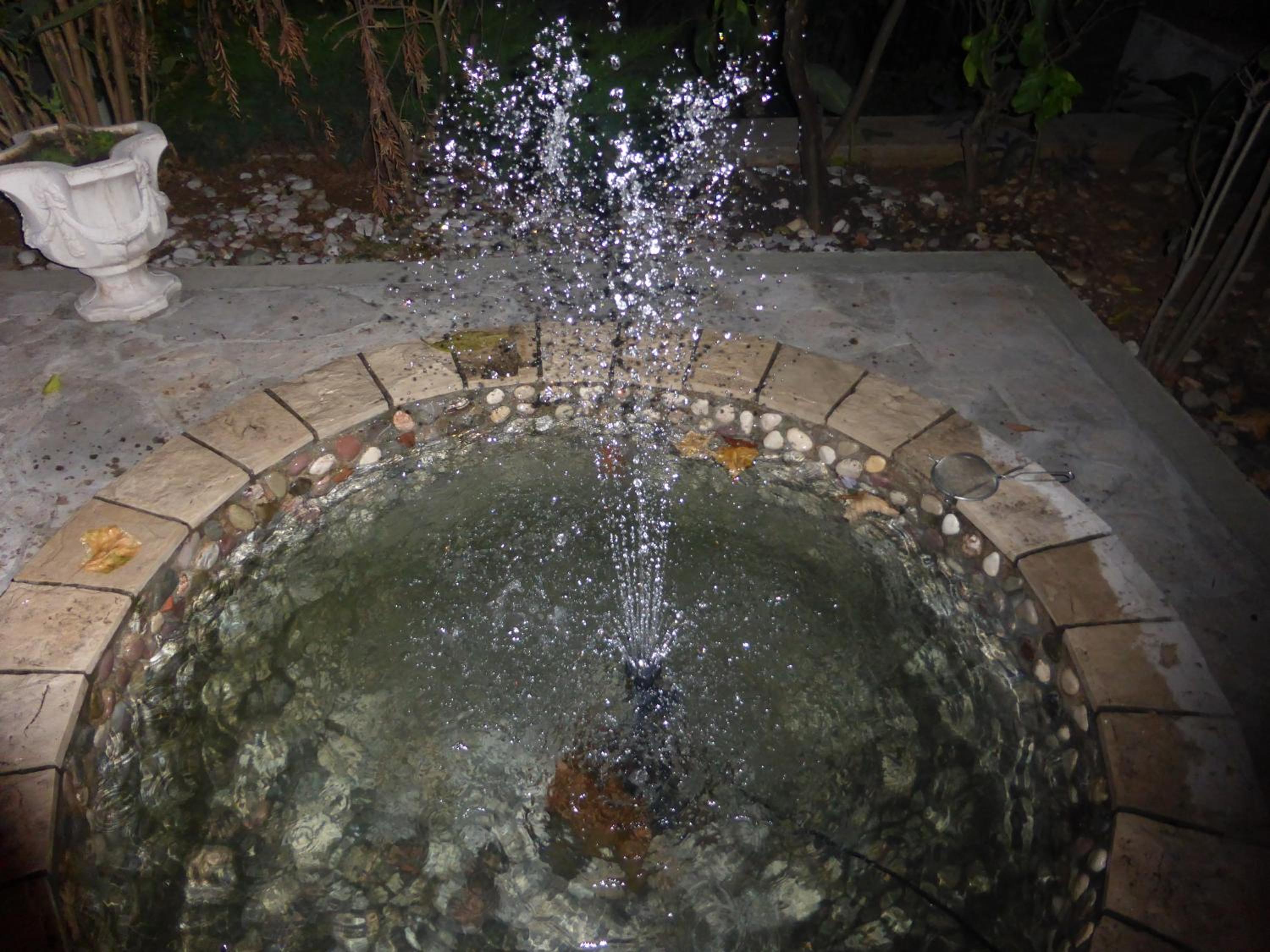 Photo 35