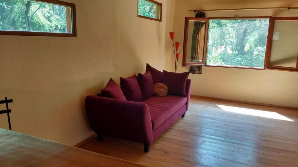 Casa Cedron
