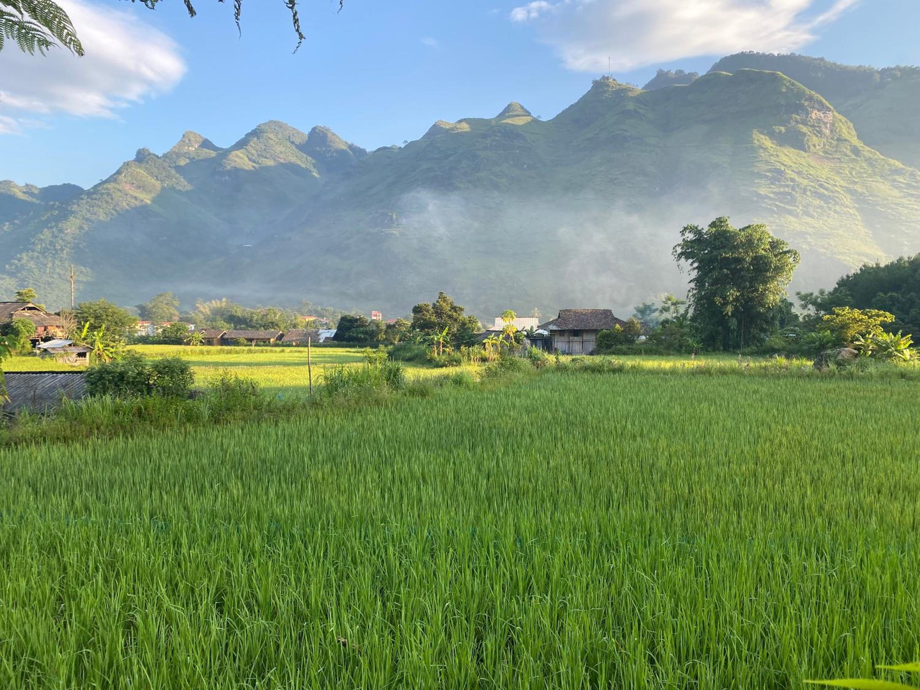 Du Gia Field View Homestay