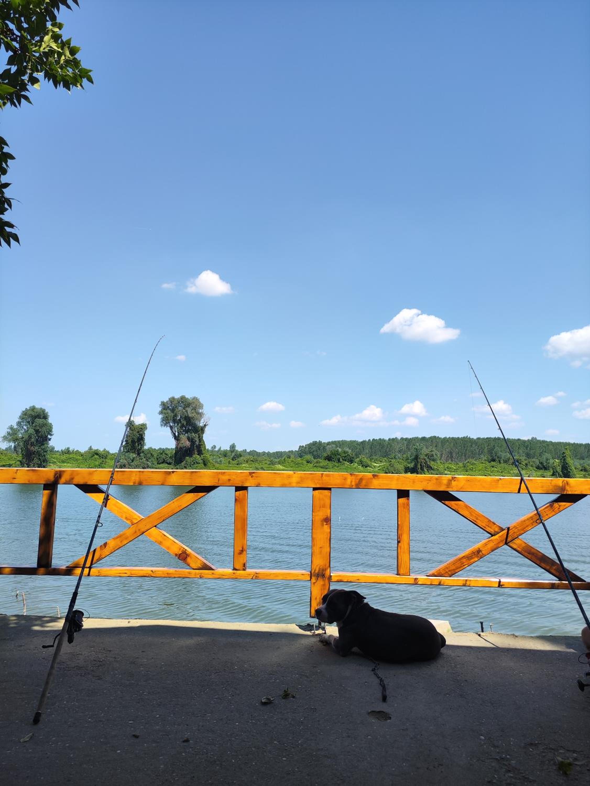 Vikendica Tisa Dukatar view 5