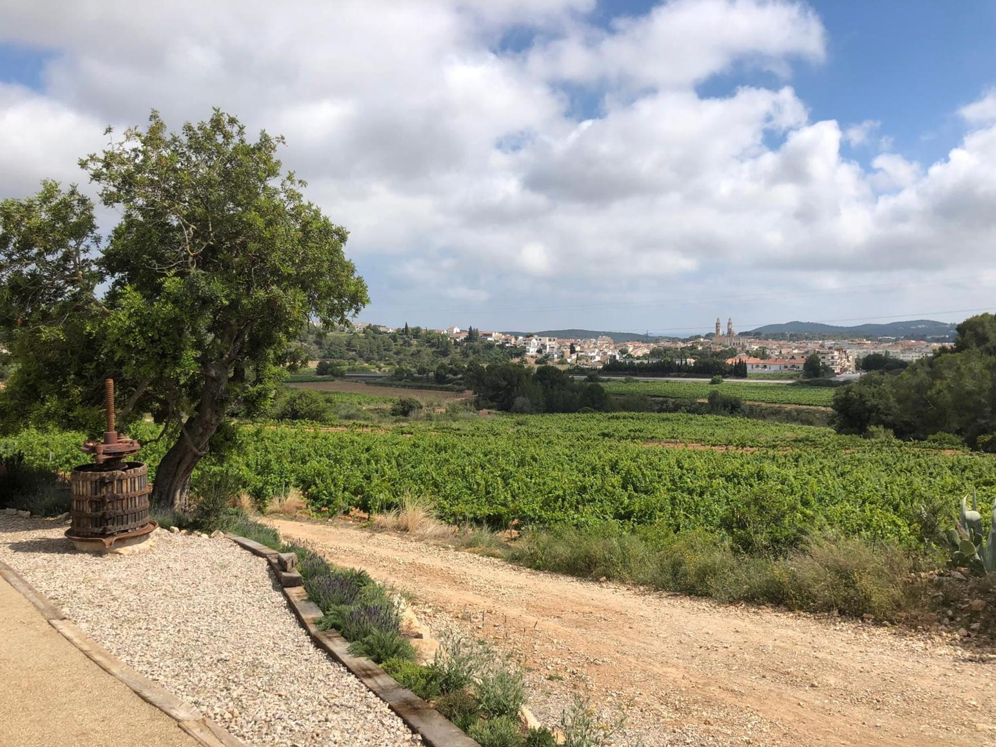 Villa Masia Capdet photo 4