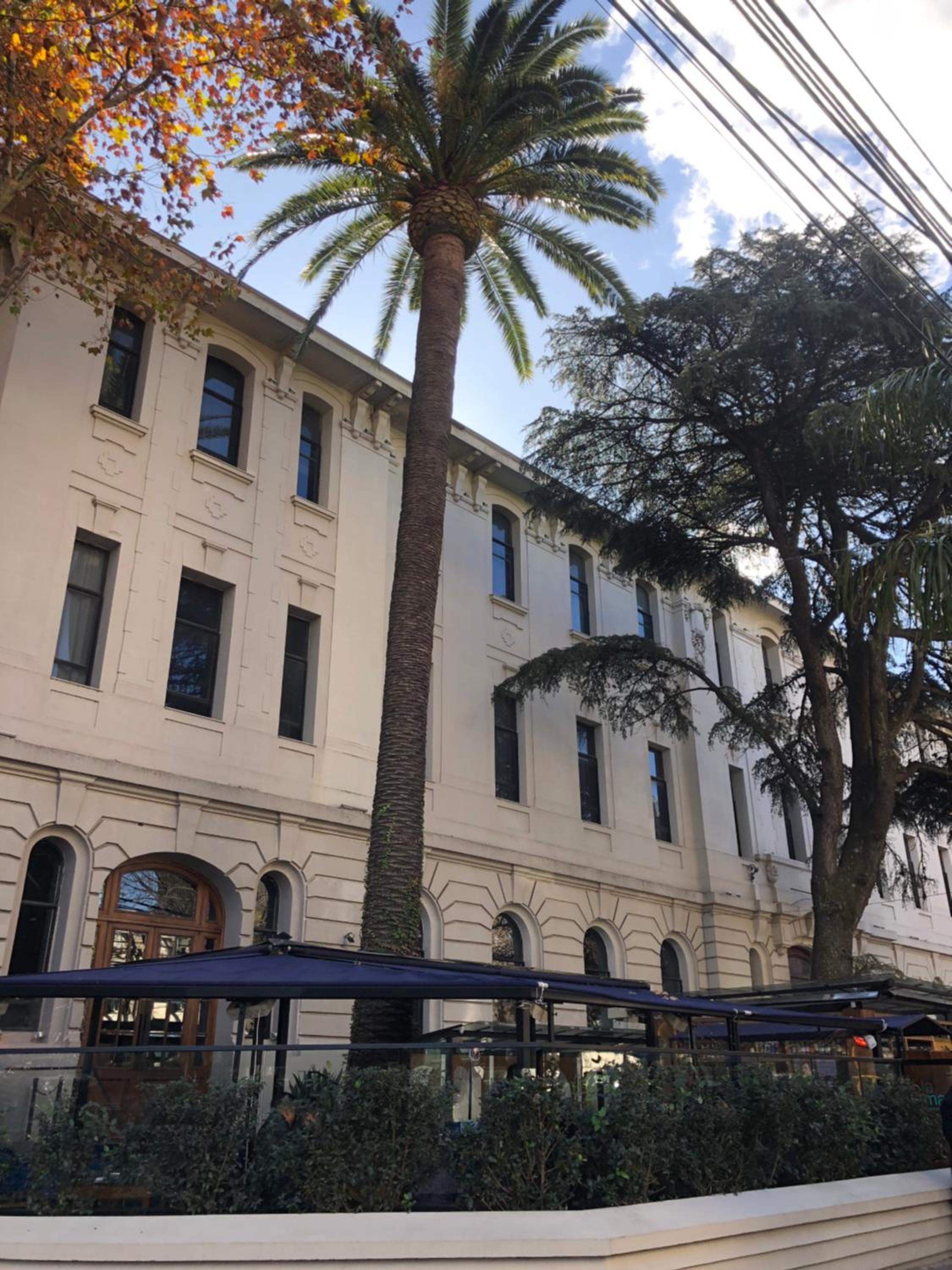 Suite 101 en Palermo Hollywood