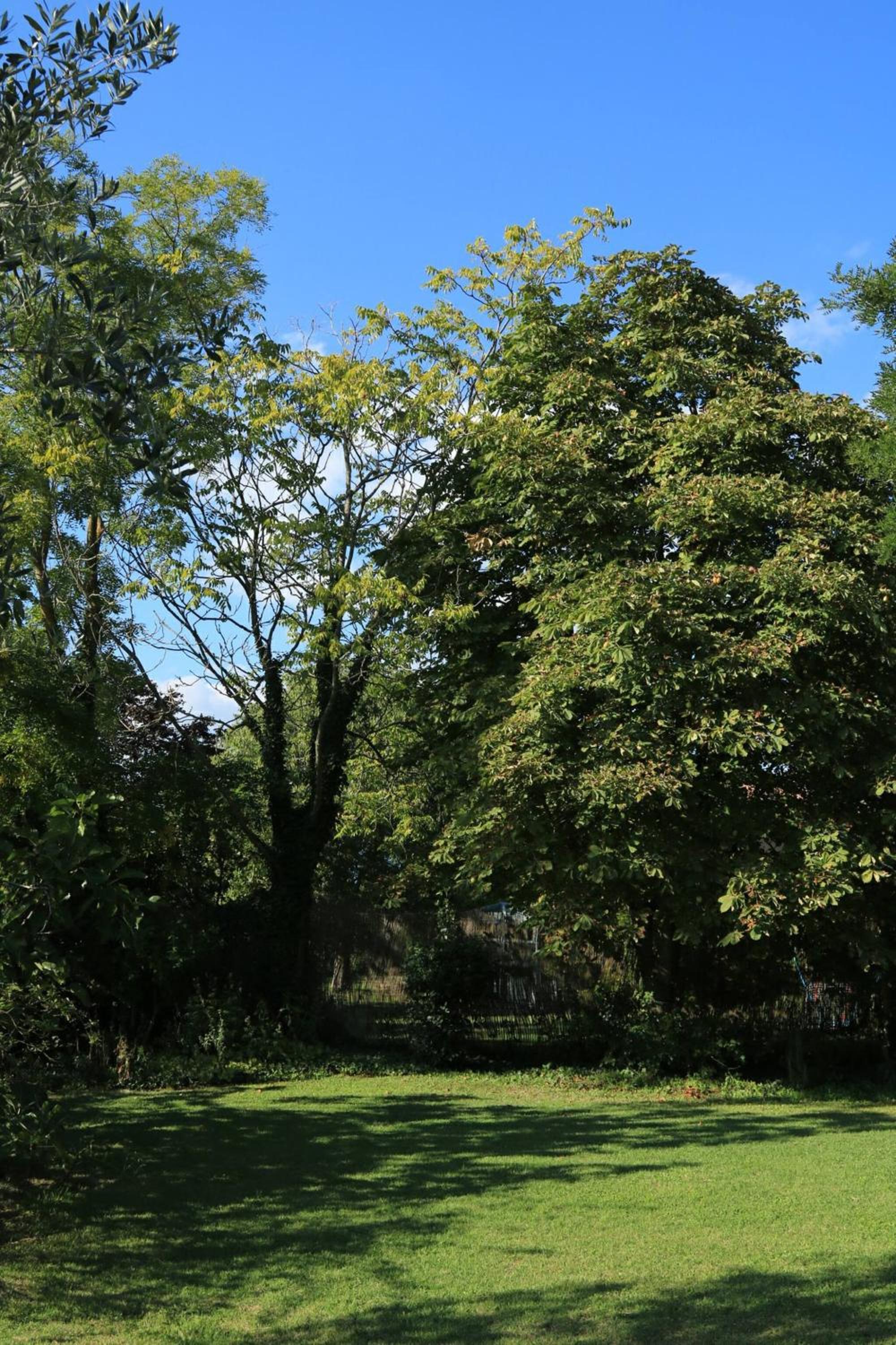 Photo 48
