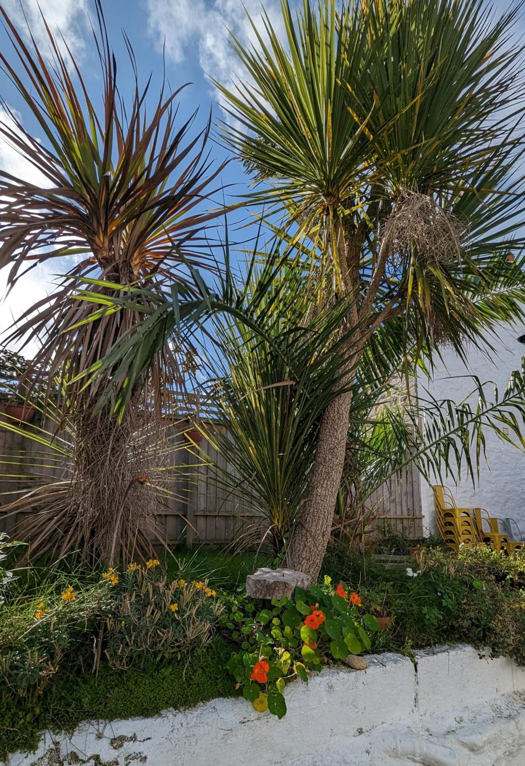 Britannia House Vintage B&B Cornwall view 4