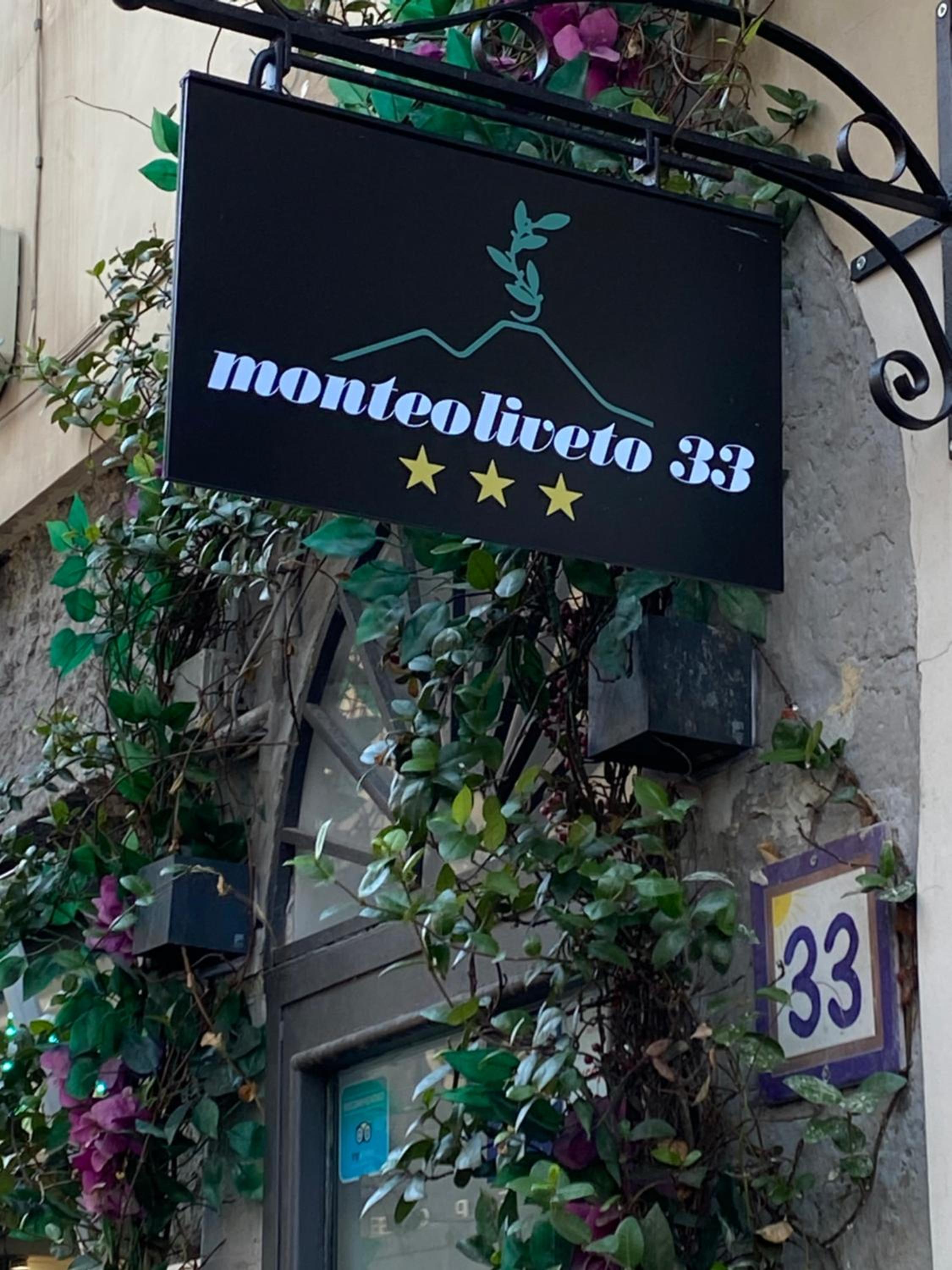 Monteoliveto 33
