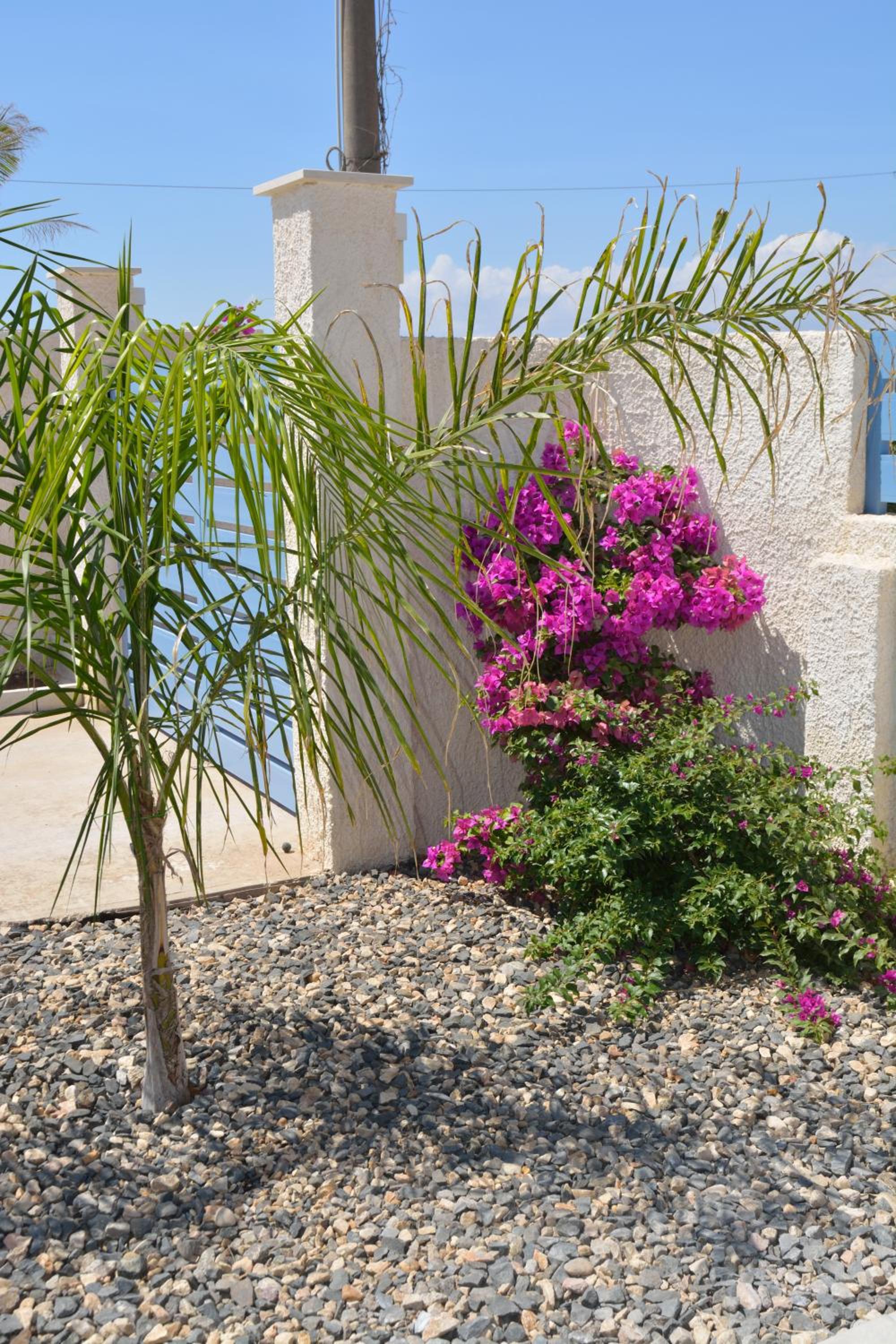 Villa Colapesce