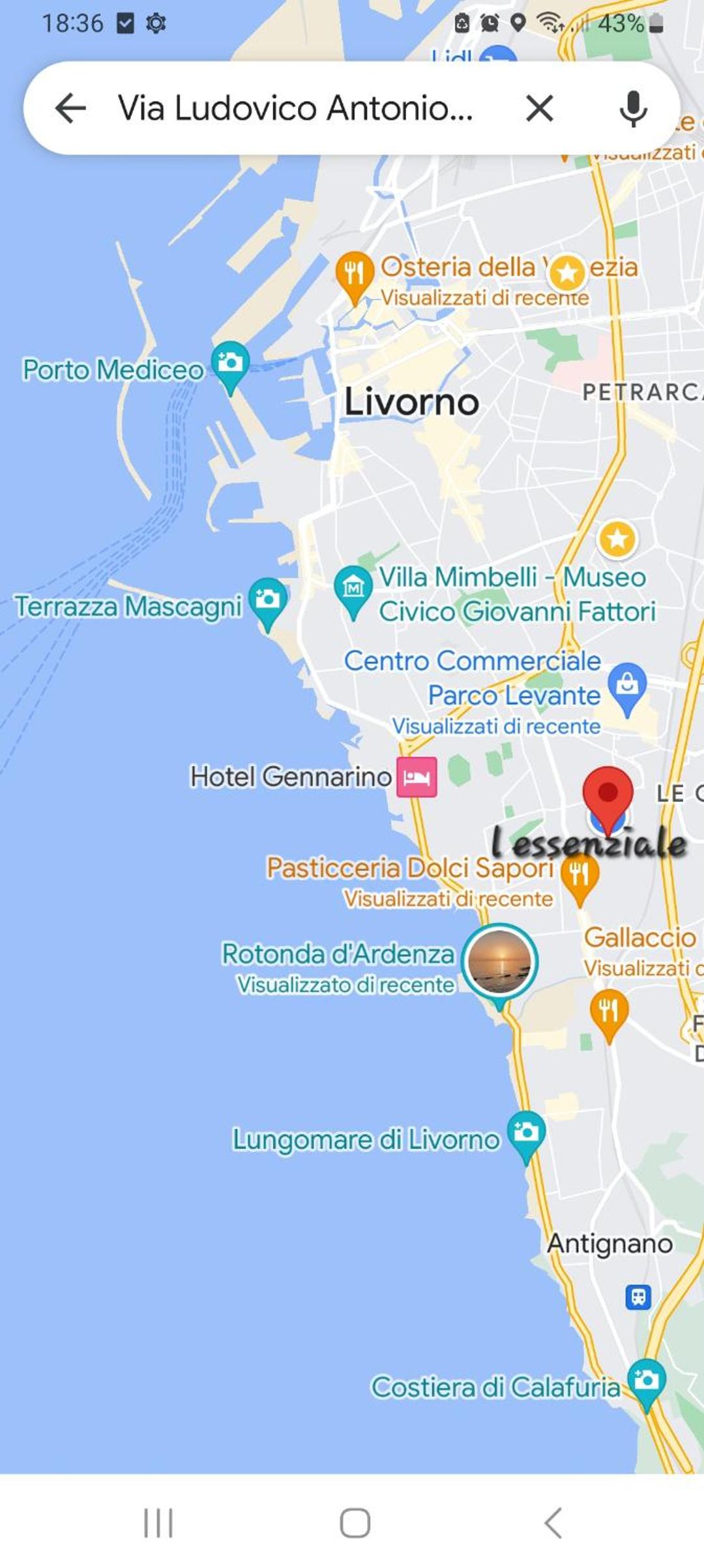 L' essenziale