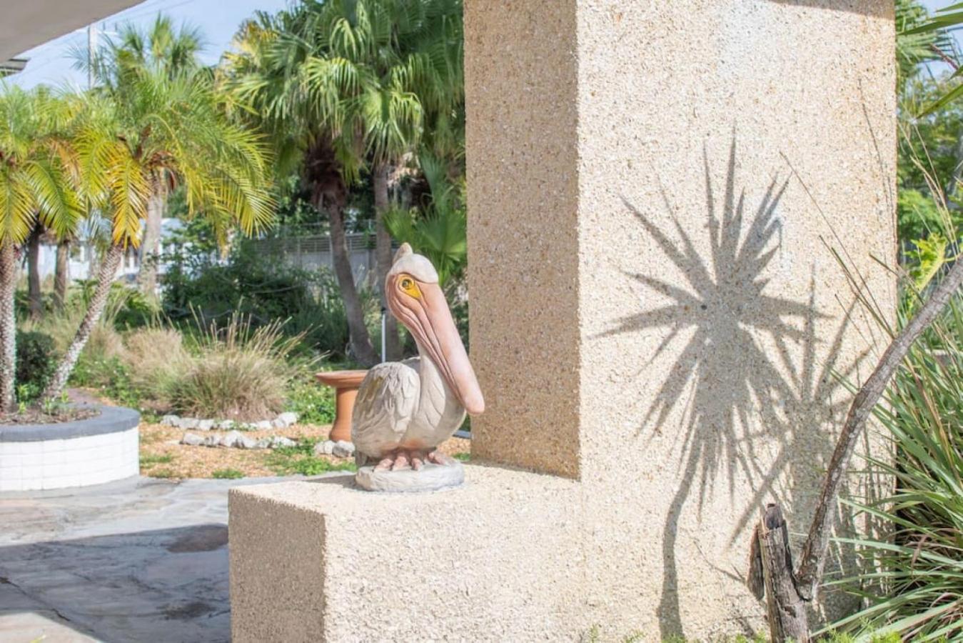 Pelican Paradise Nostalgic Comfort Awaits