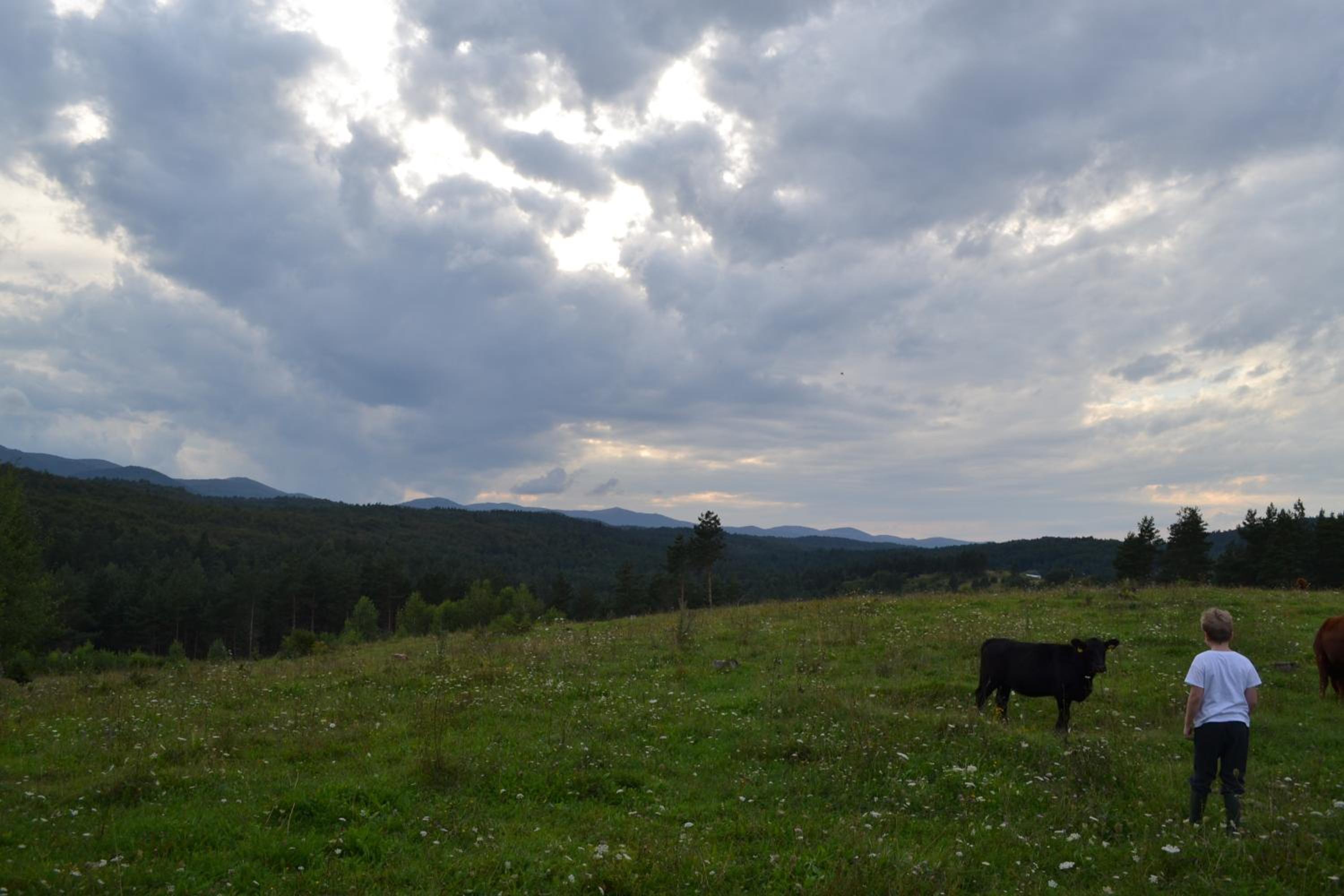 Photo 42
