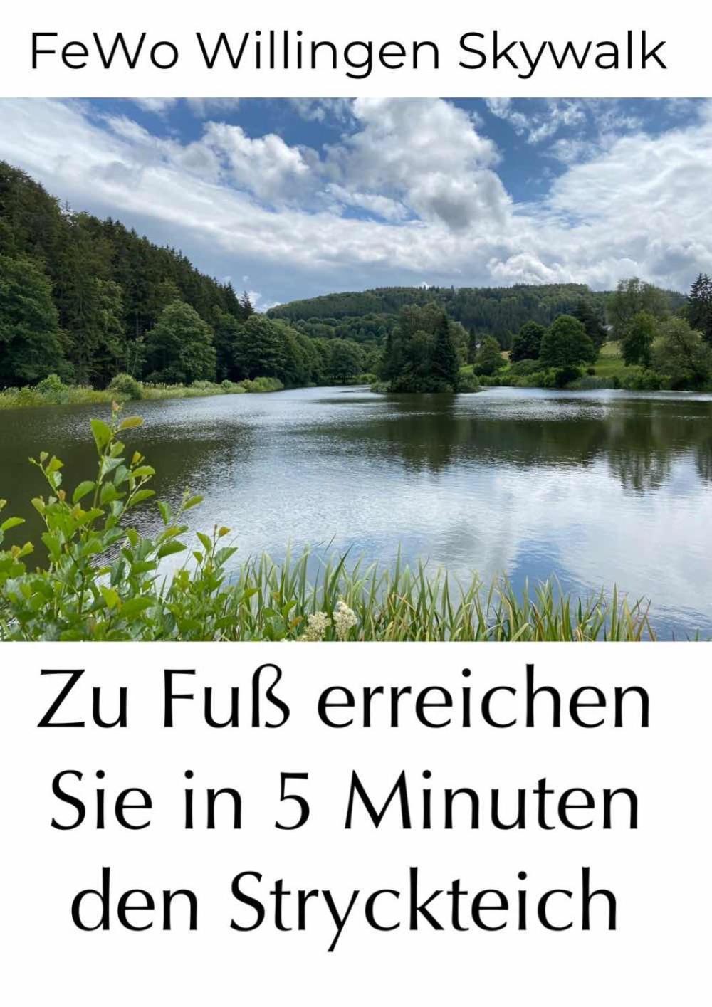 FeWo Skywalk Willingen