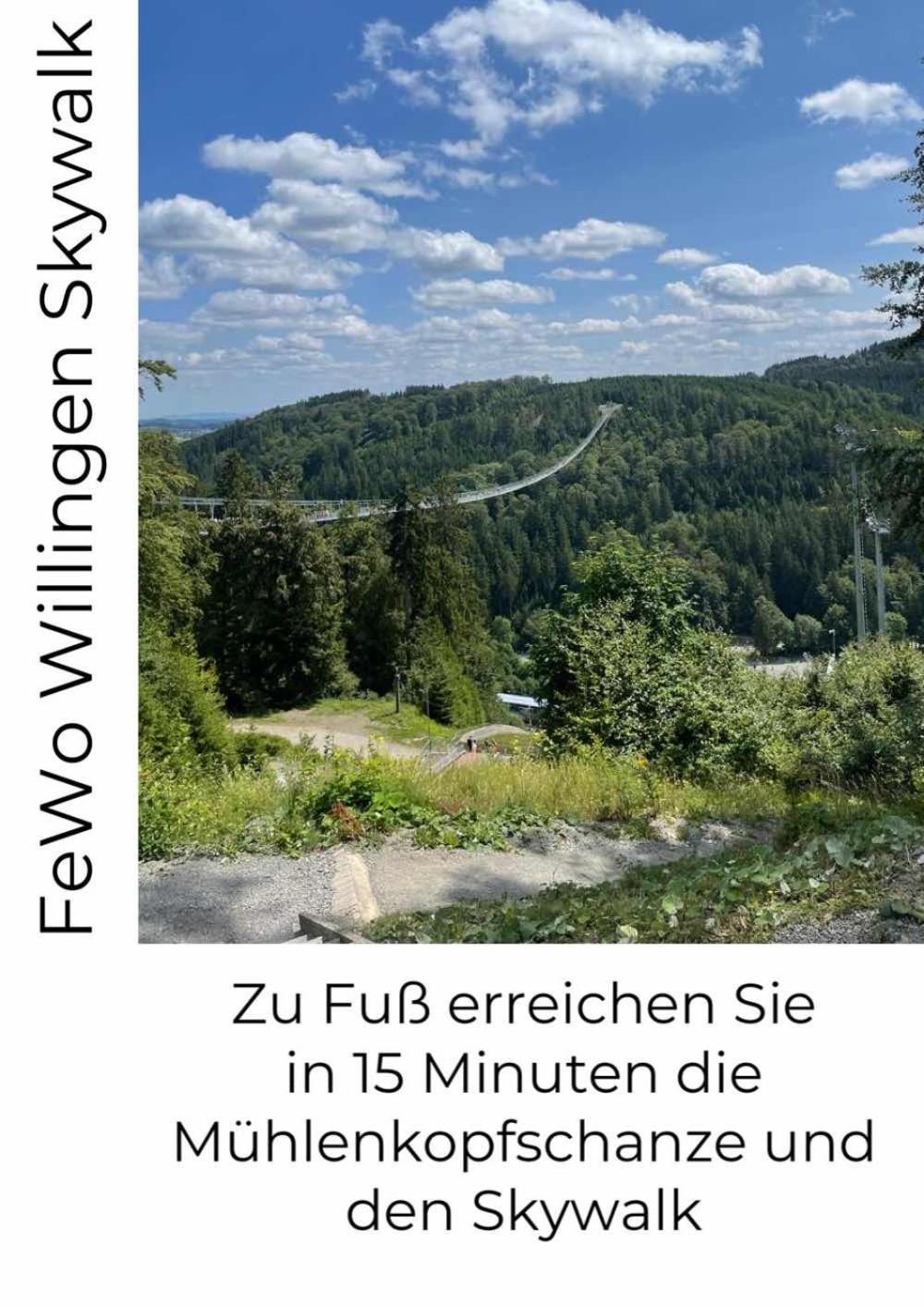 FeWo Skywalk Willingen