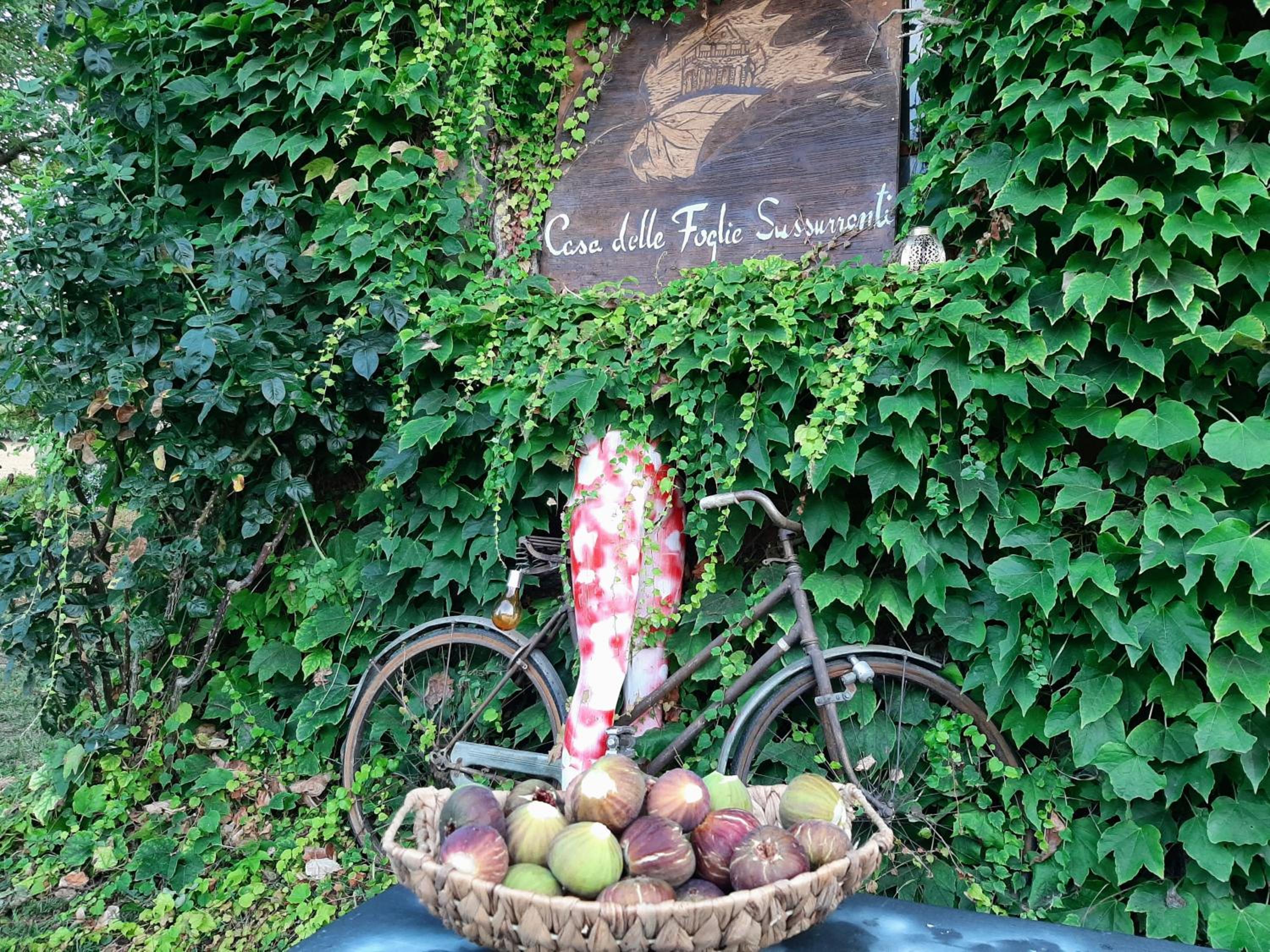 Casa delle foglie sussurranti