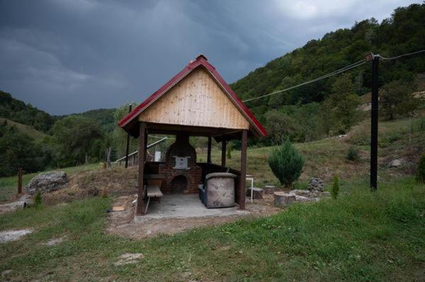 Cabana La Buligă view 2