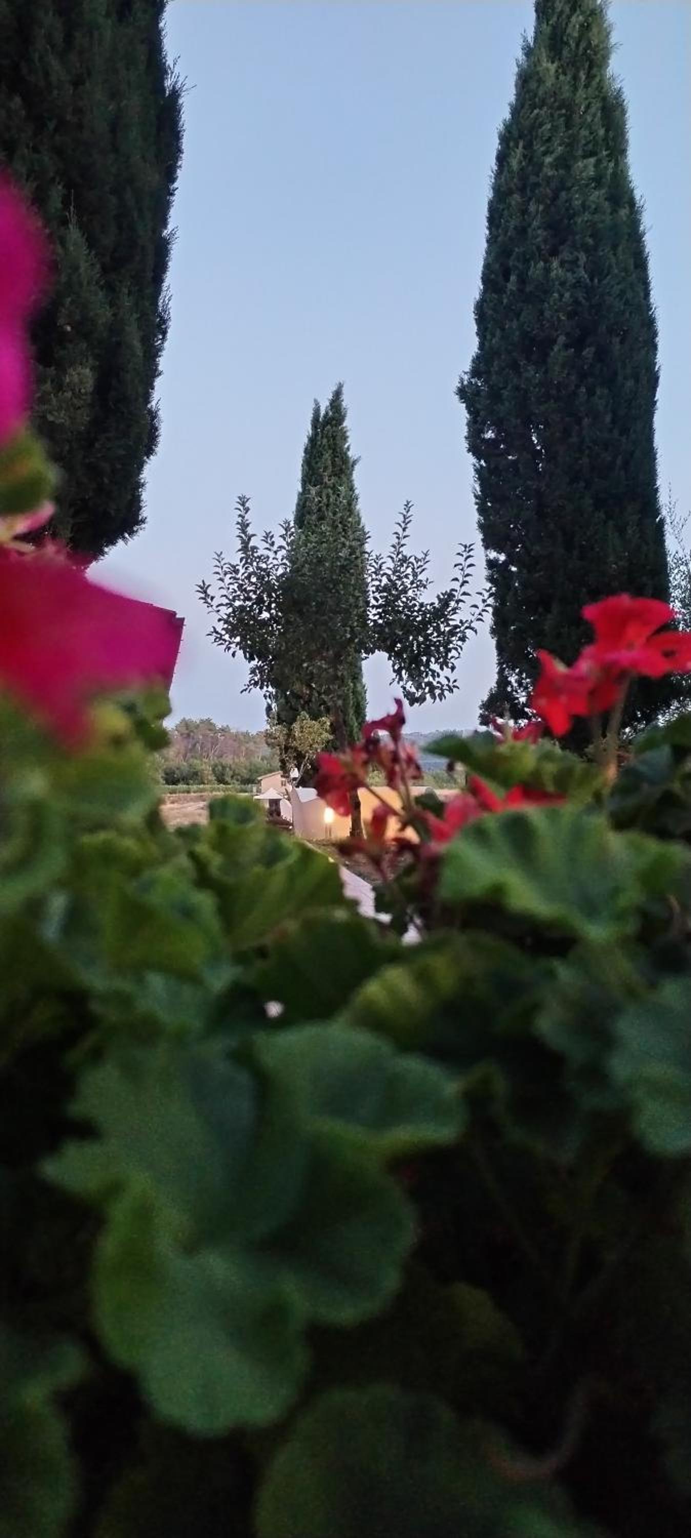 I Salici Agriturismo