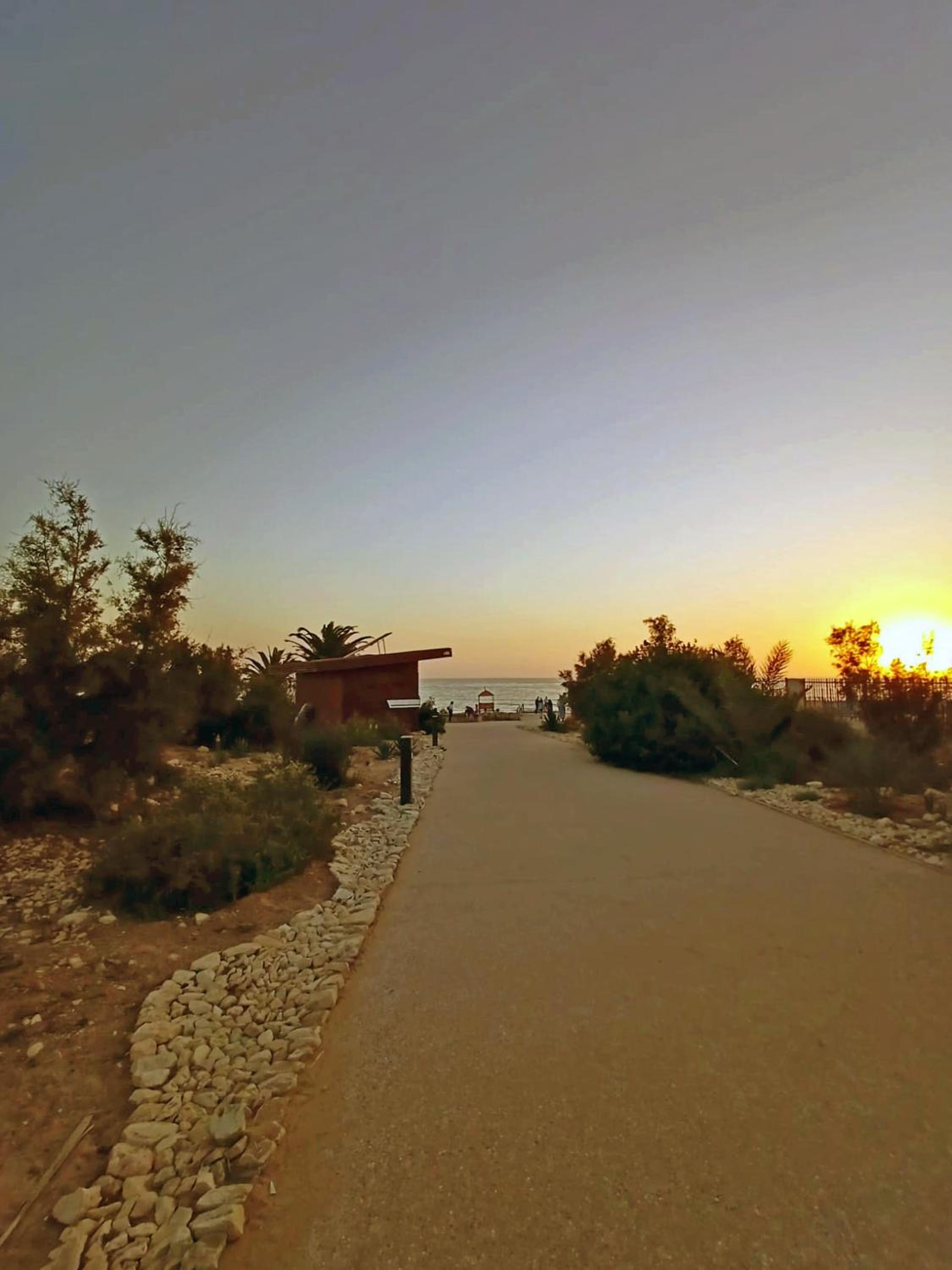 Photo 46