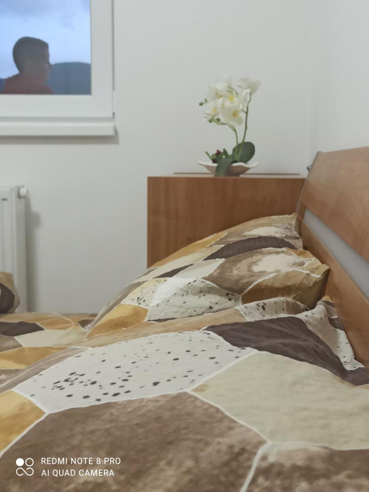 Apartman Jovana Pale