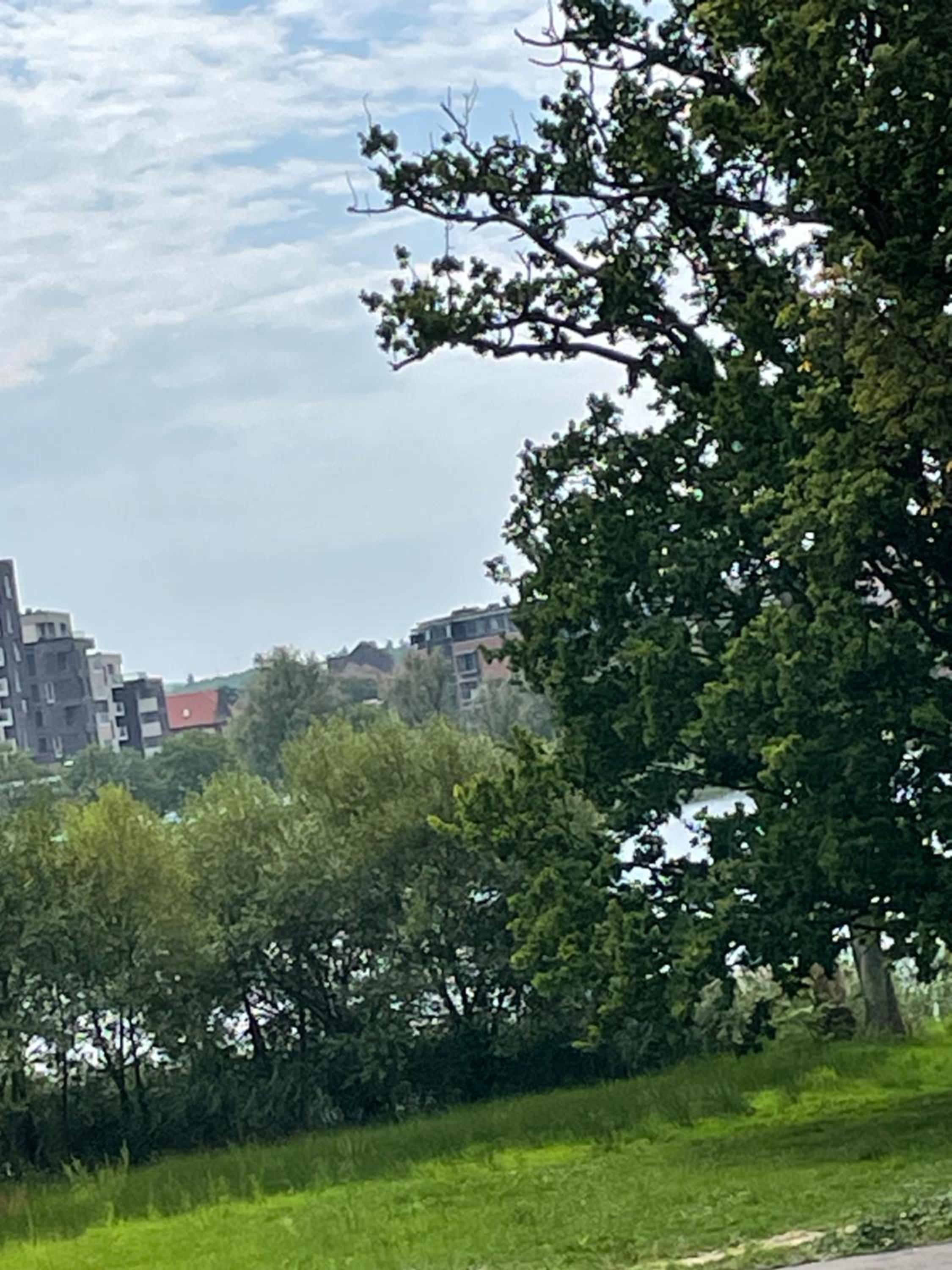 Sølyst