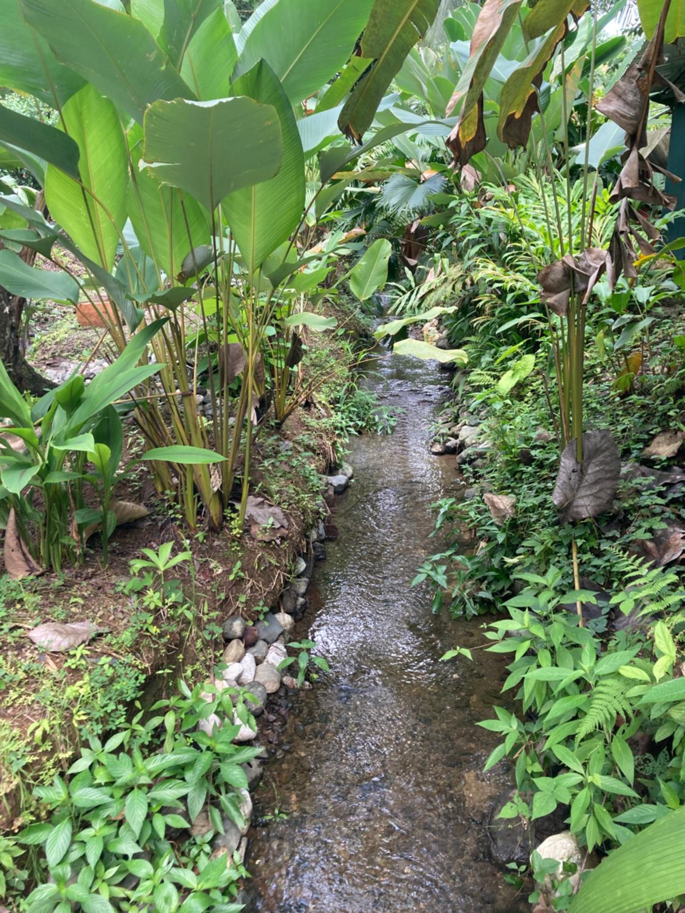 YEJOS Jungle Lodge