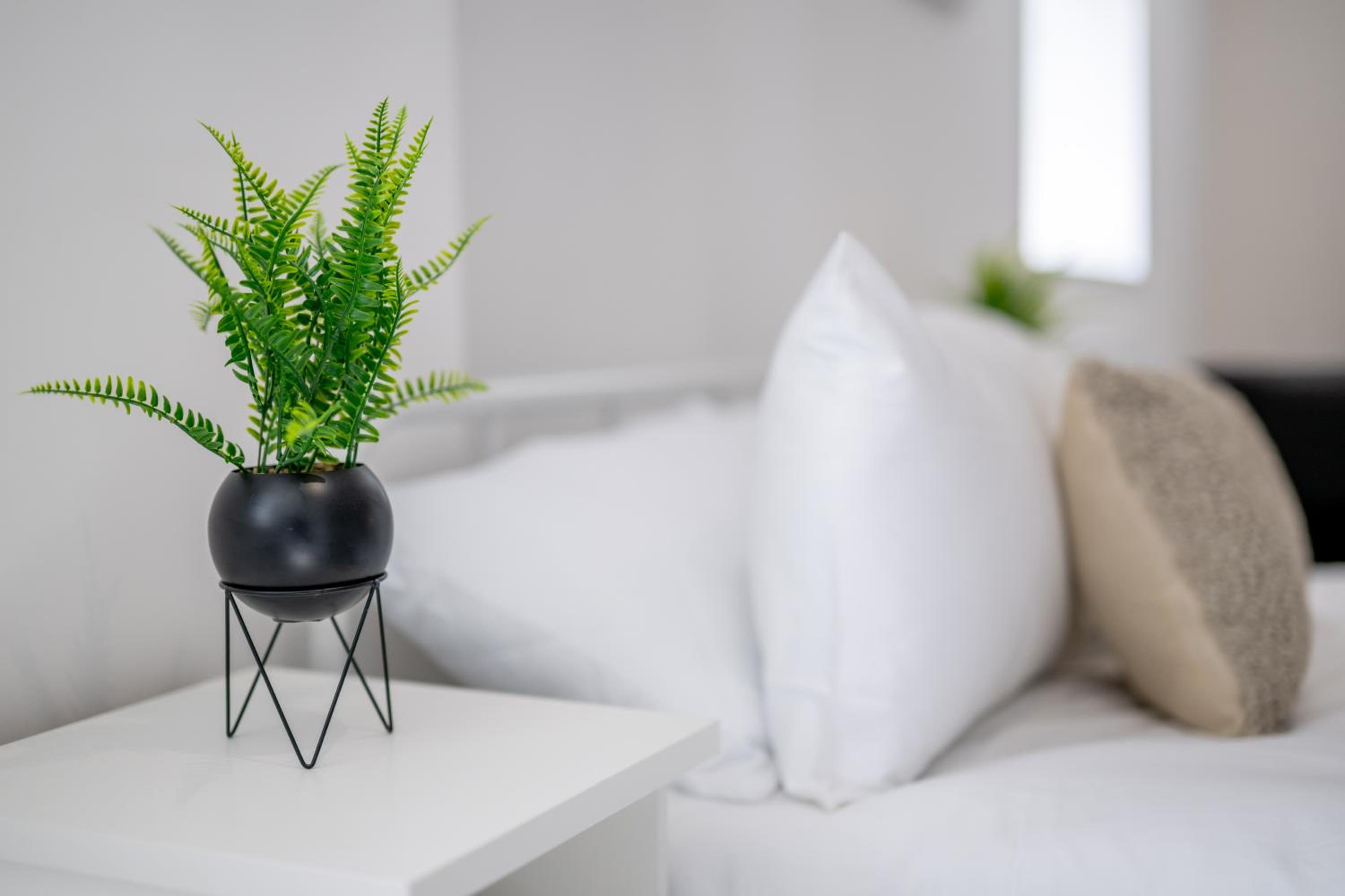 Kings Lynn Vacations - Modern Studio Apartment Kings Lynn - Property Image 17