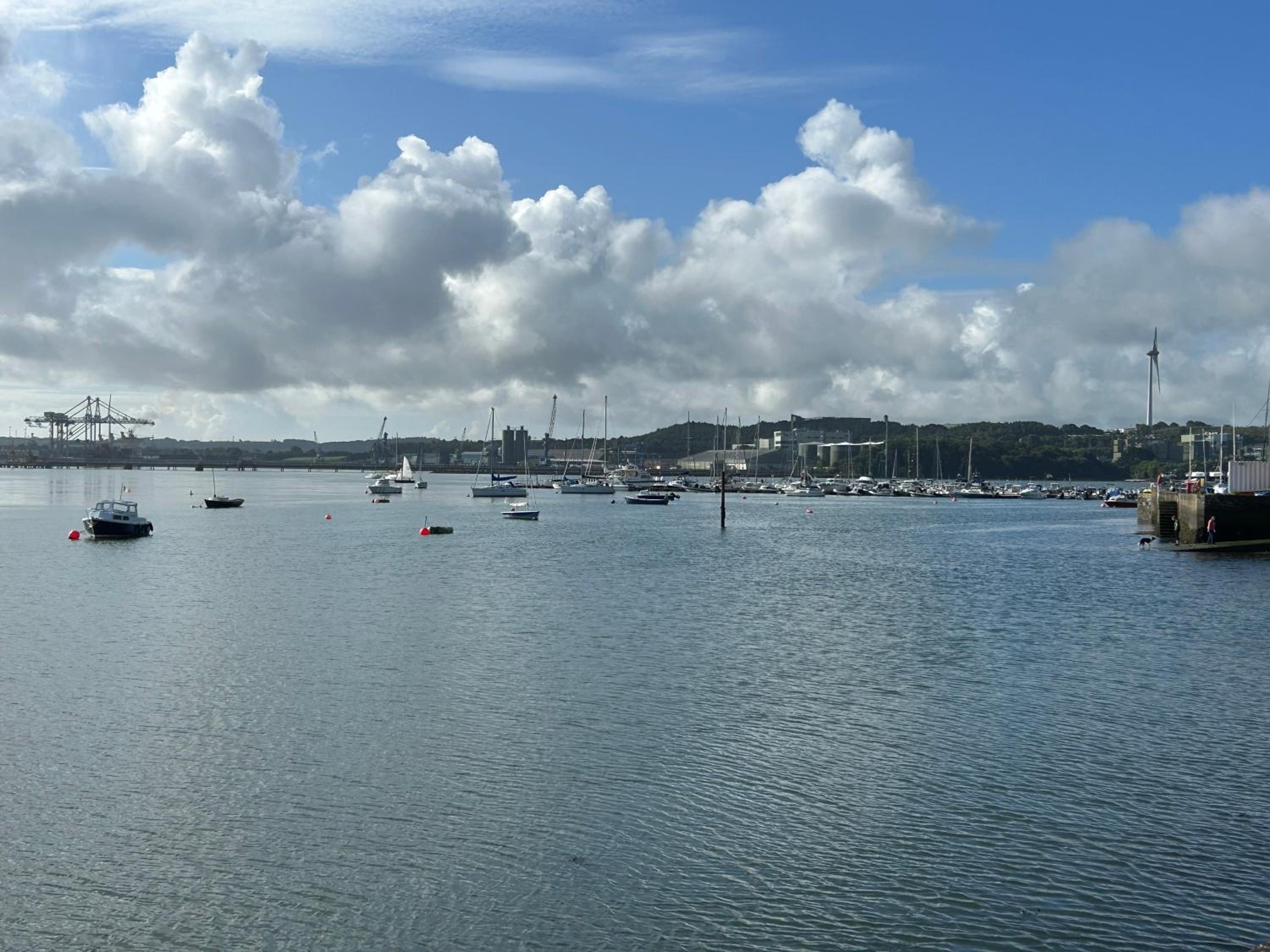 The Lodge, Monkstown view 3