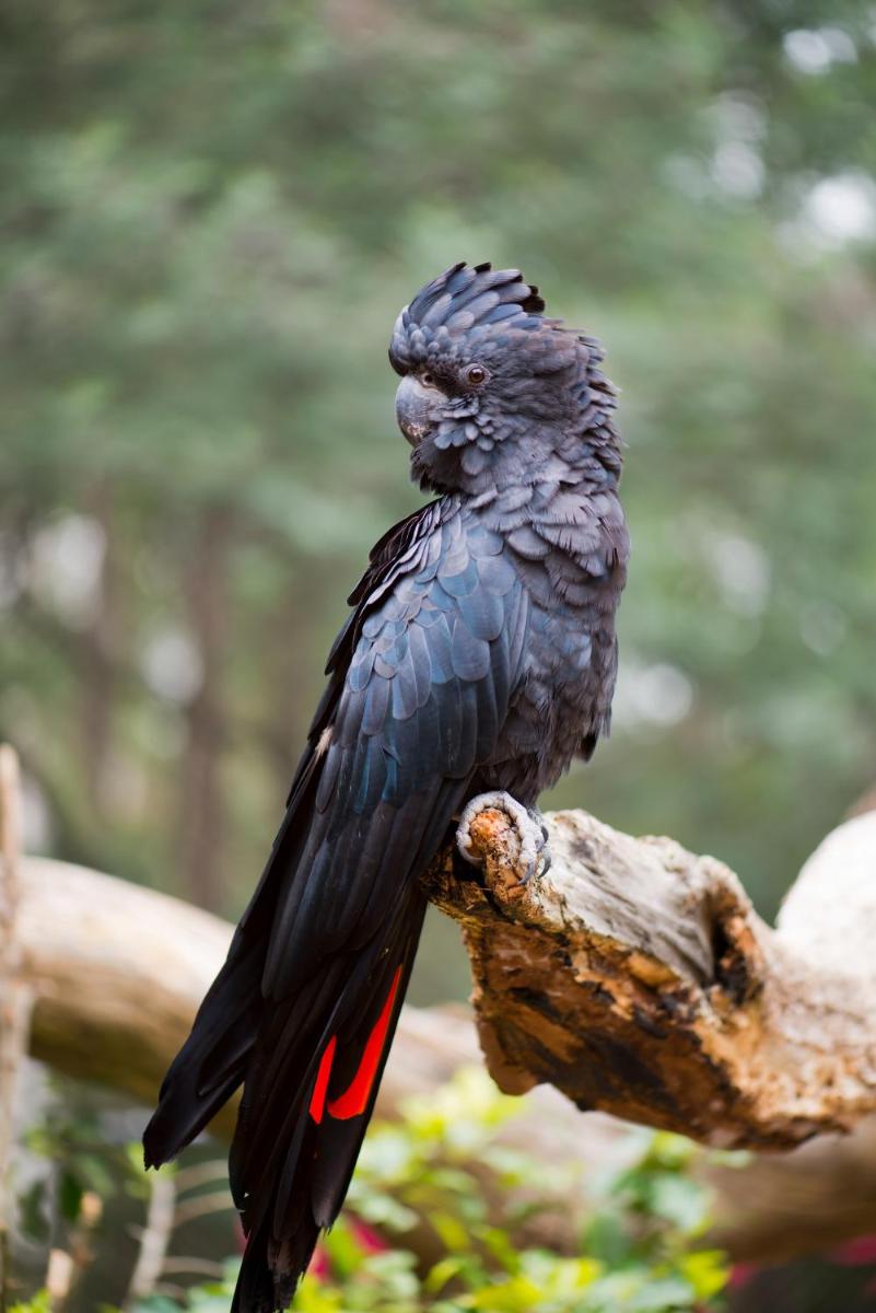 Margaret River Retreat