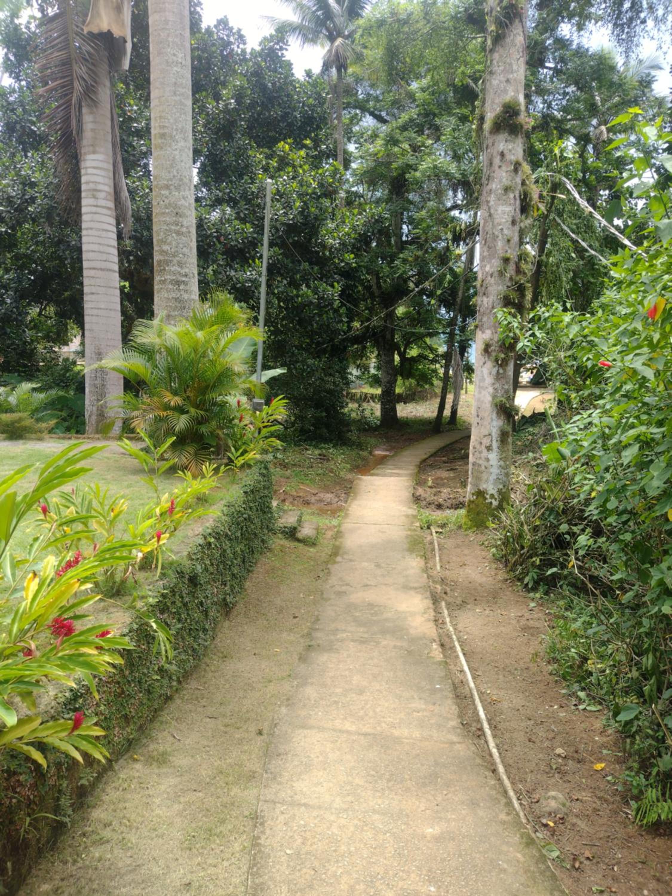 Recanto das Palmeiras Praia da Longa
