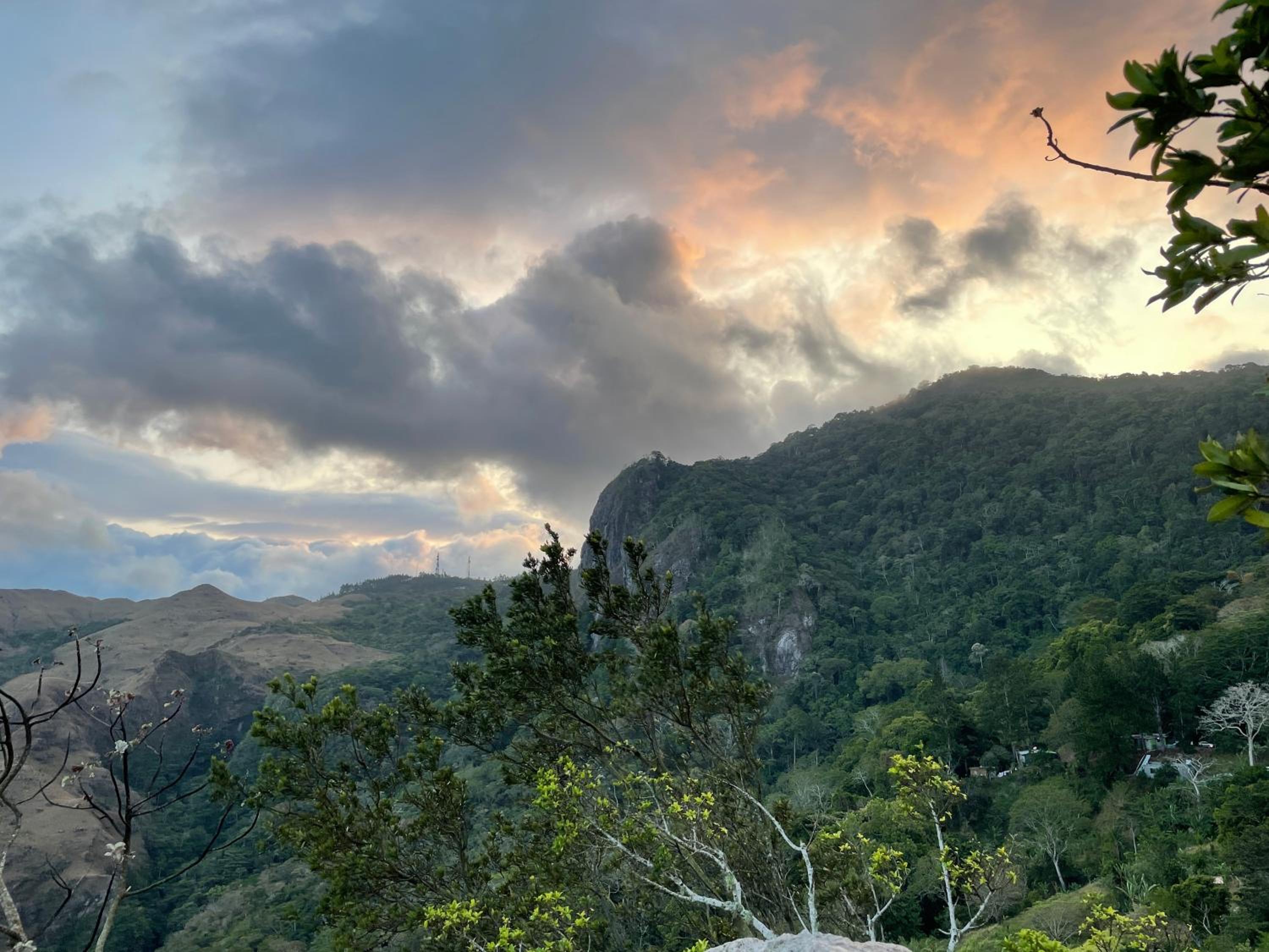 Las Catalinas Coronado
