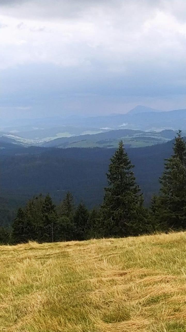 Dom Wypoczynkowy Pod Polanką view 4