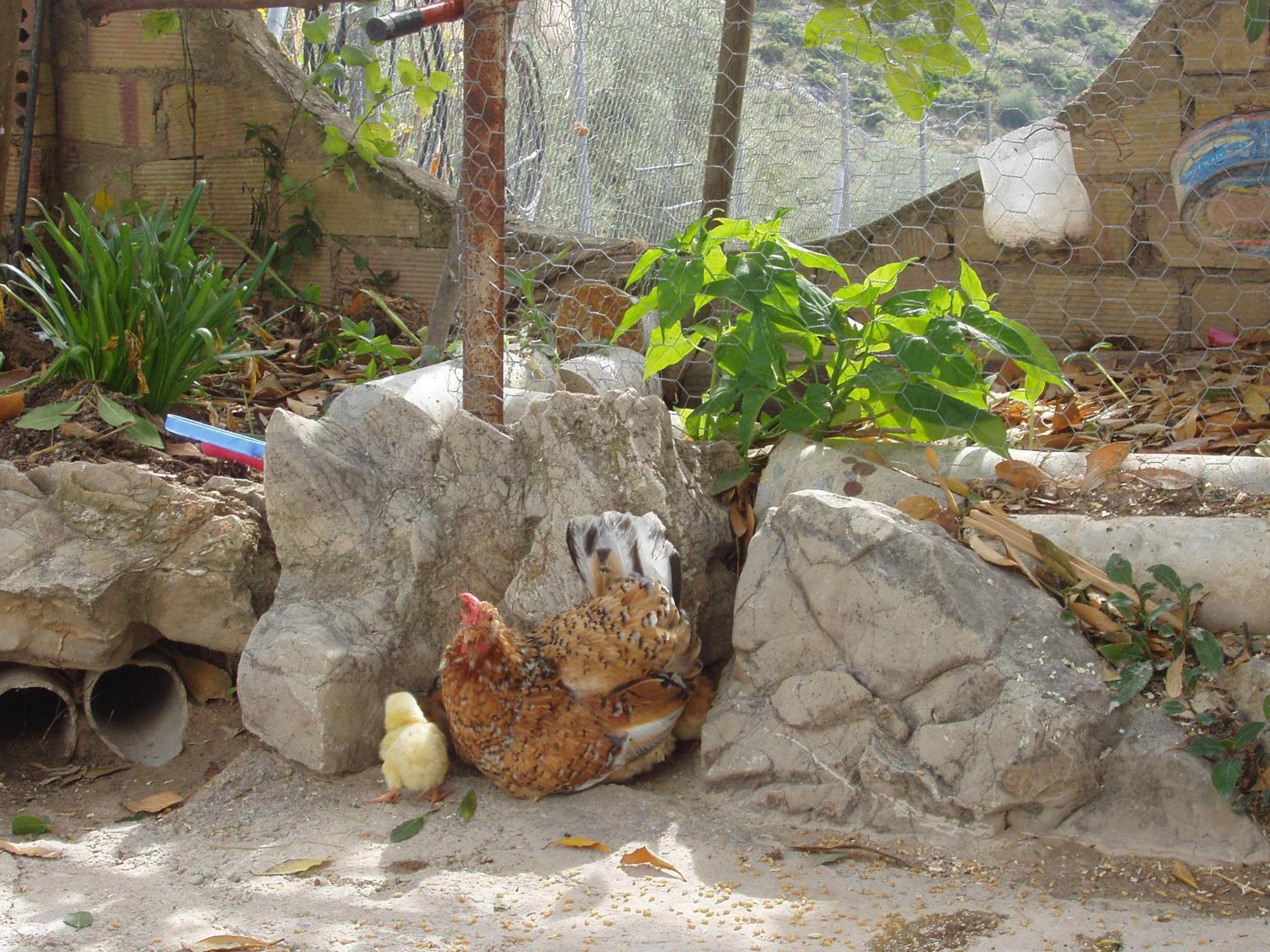 El Rincon de Carmen
