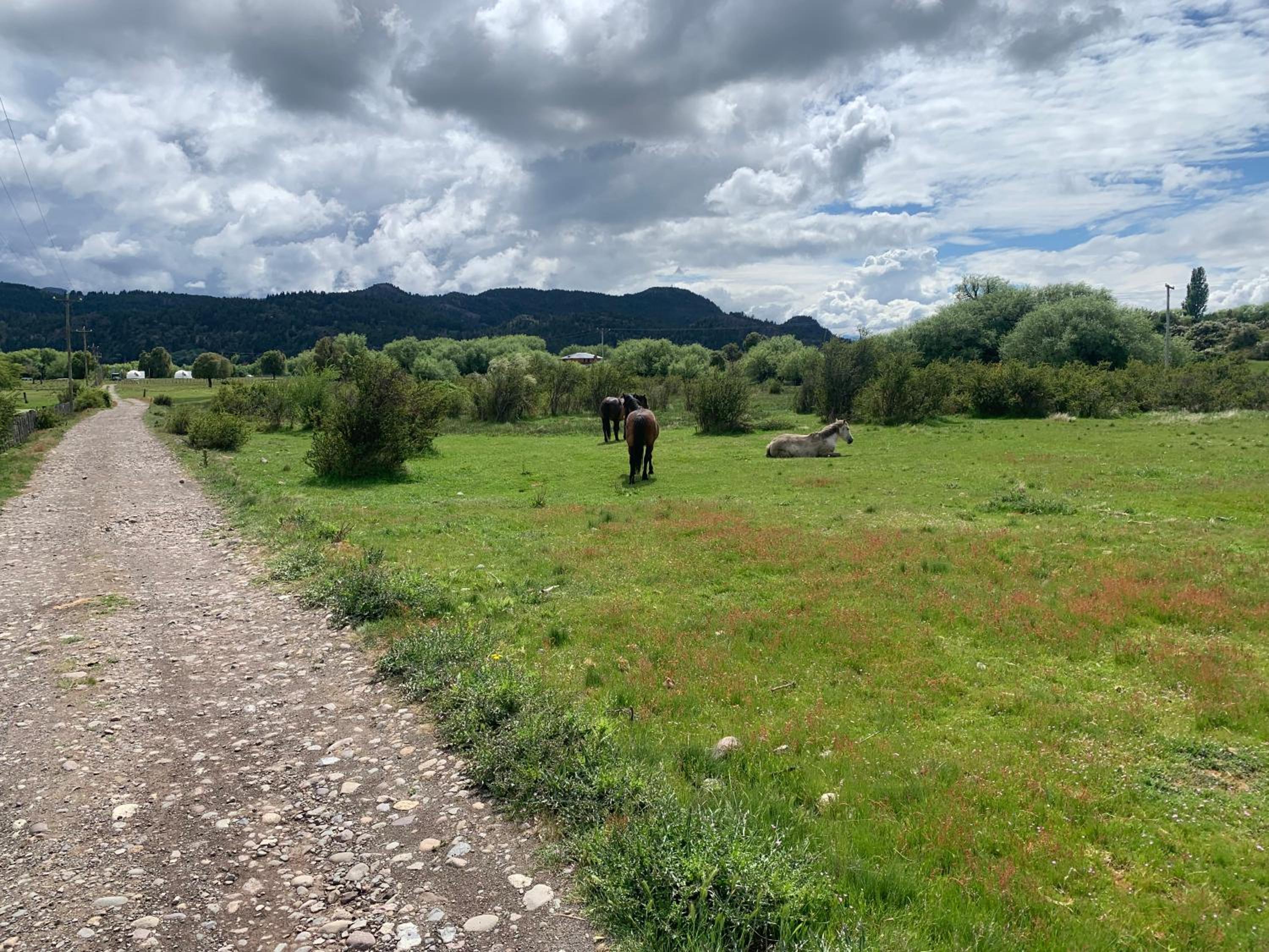 Nomade Patagonia Glamping & Domos