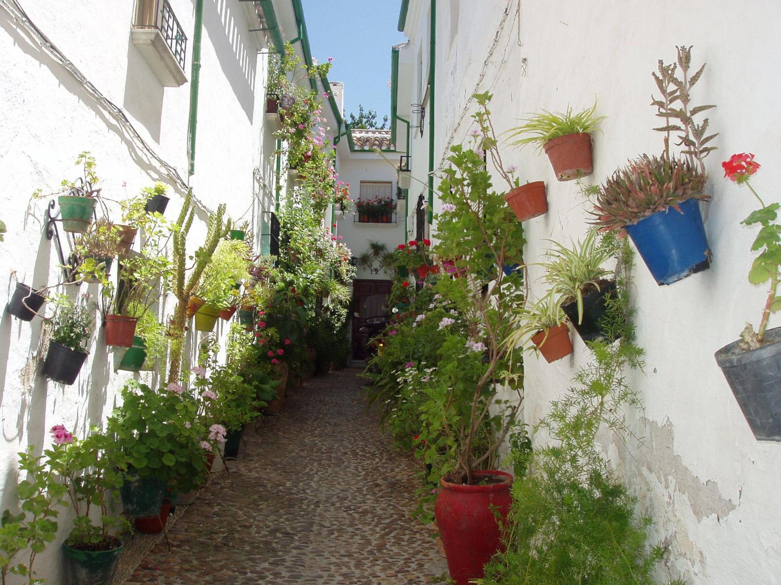 El Rincon de Carmen