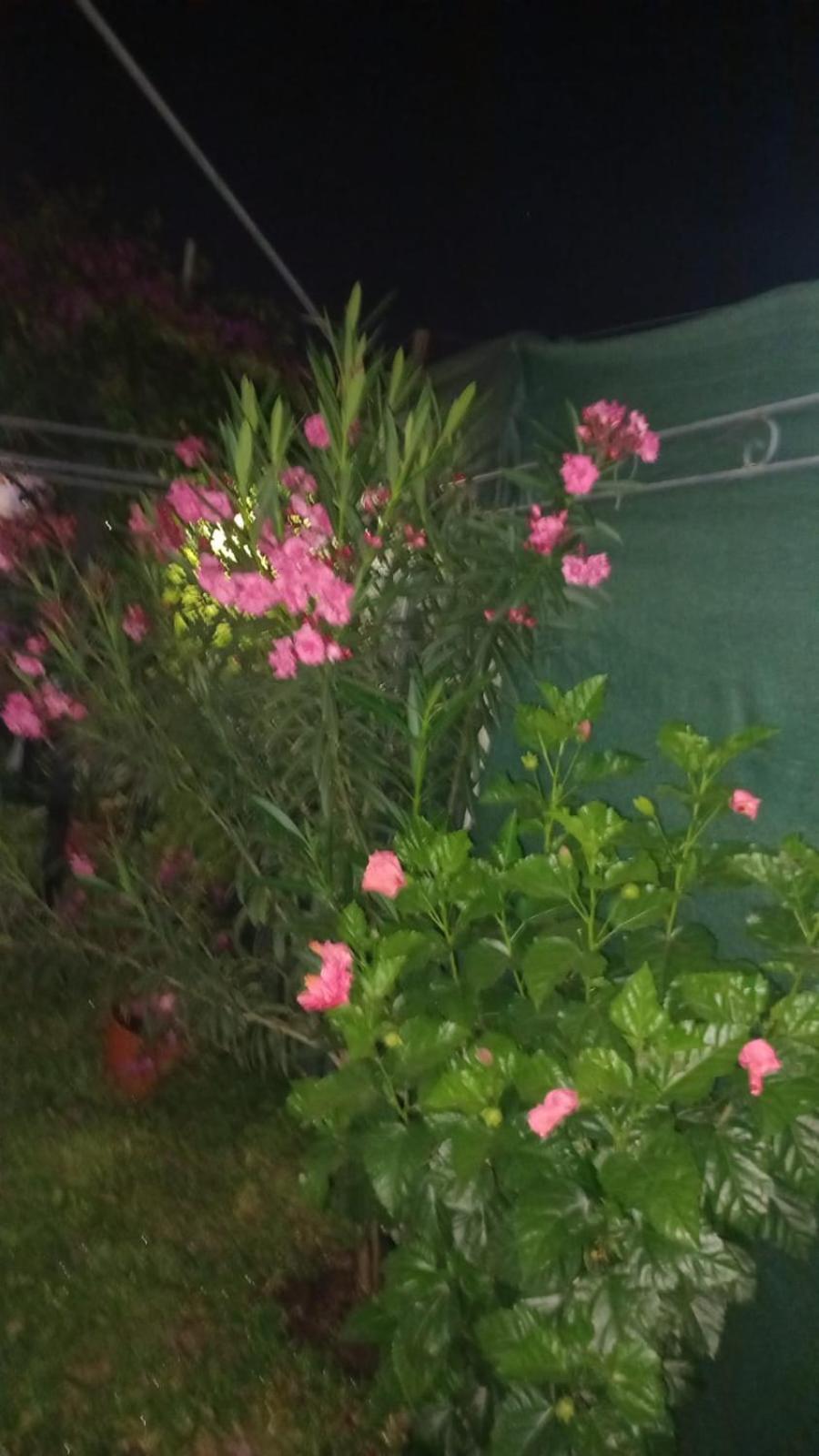 Ñanderoga B&B