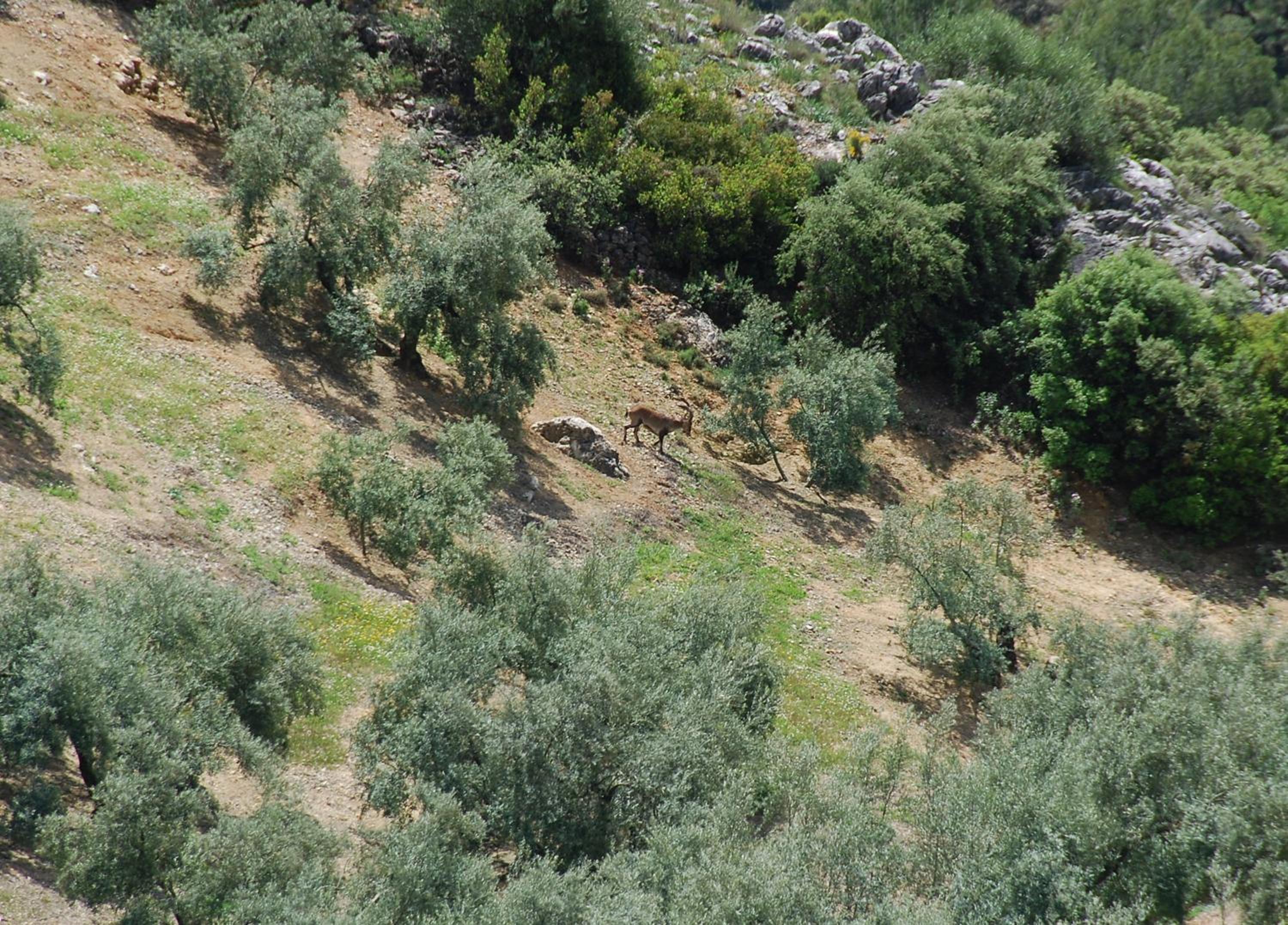 El Rincon de Carmen
