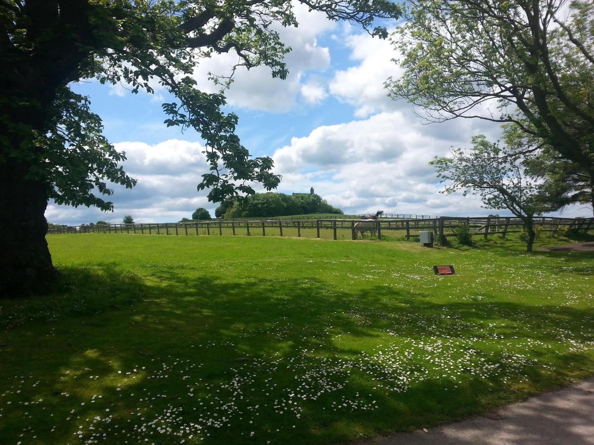Burythorpe House view 3