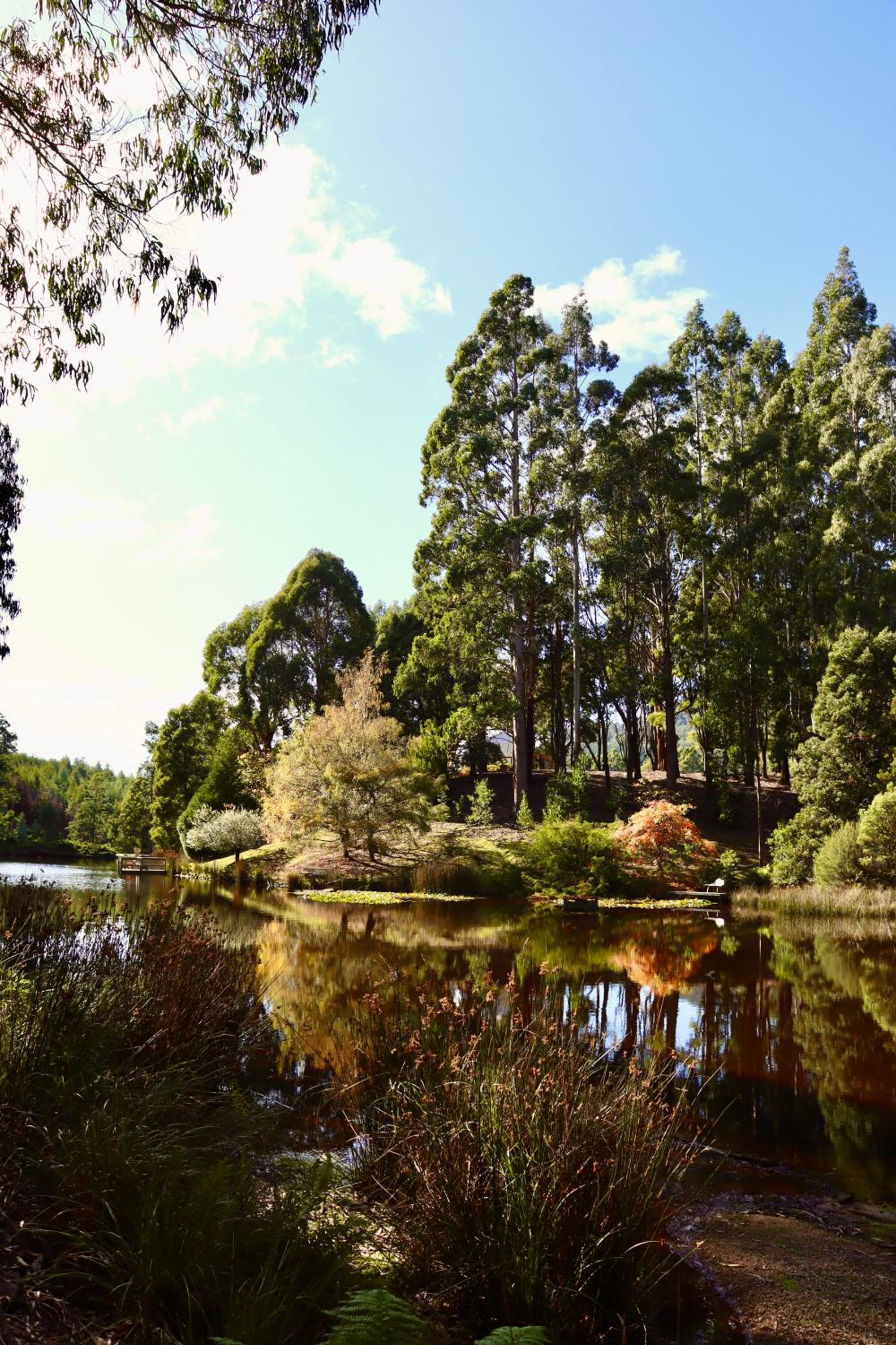 Gleneagle Tasmania