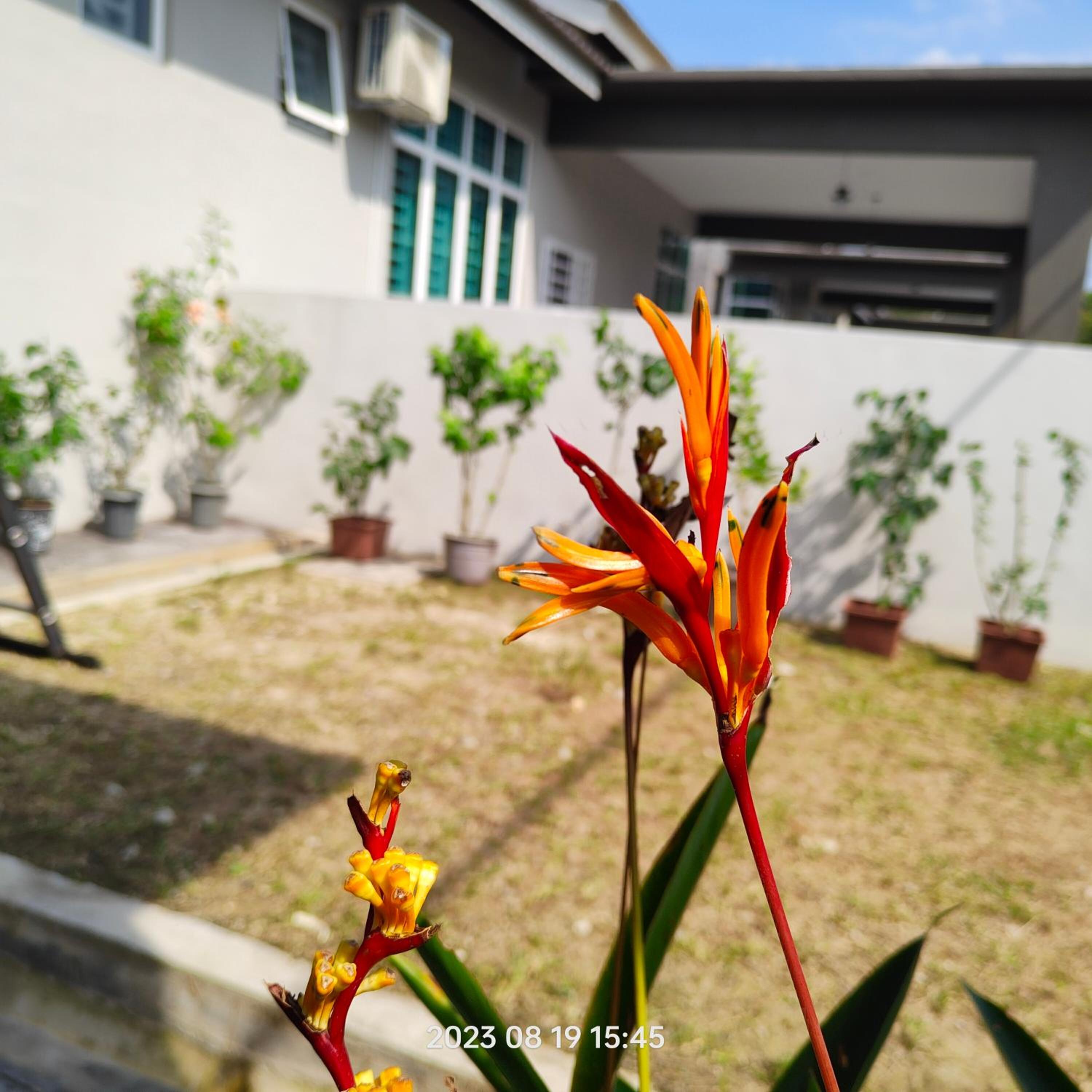 Homestay Kemaman Kasturi Kijal