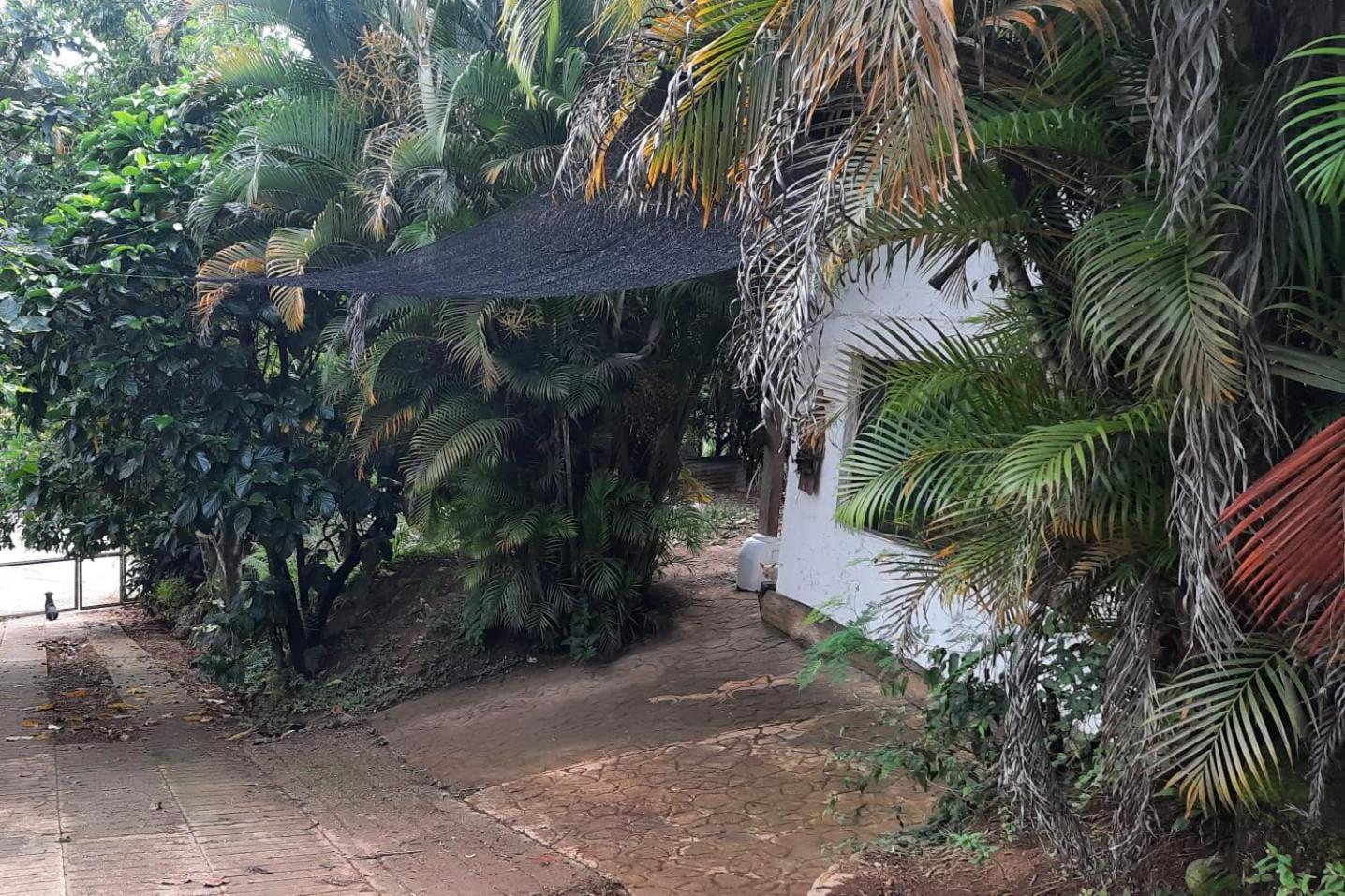 Estadía SaraIsa