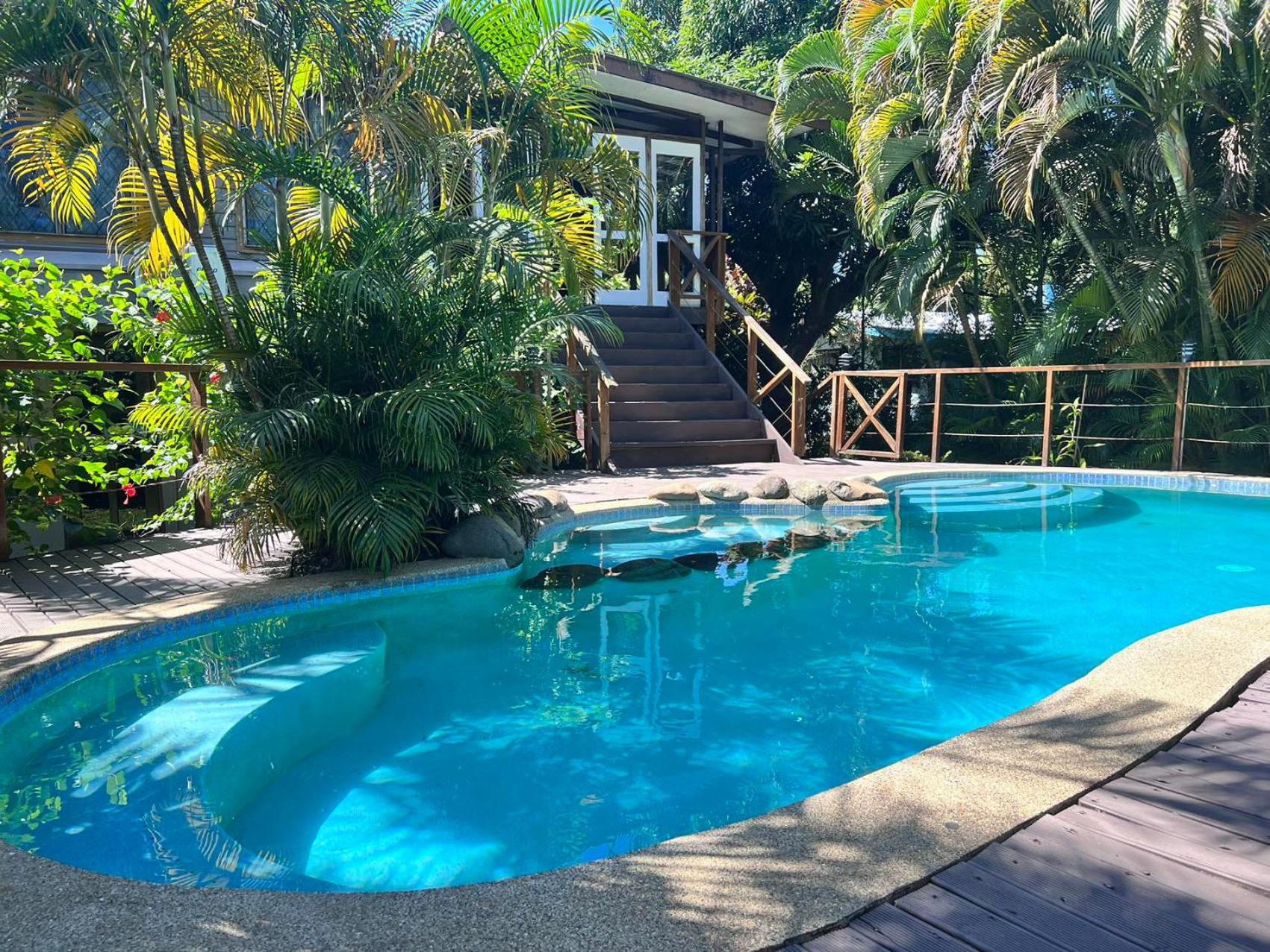 Tropical Garden-04-F - view 5