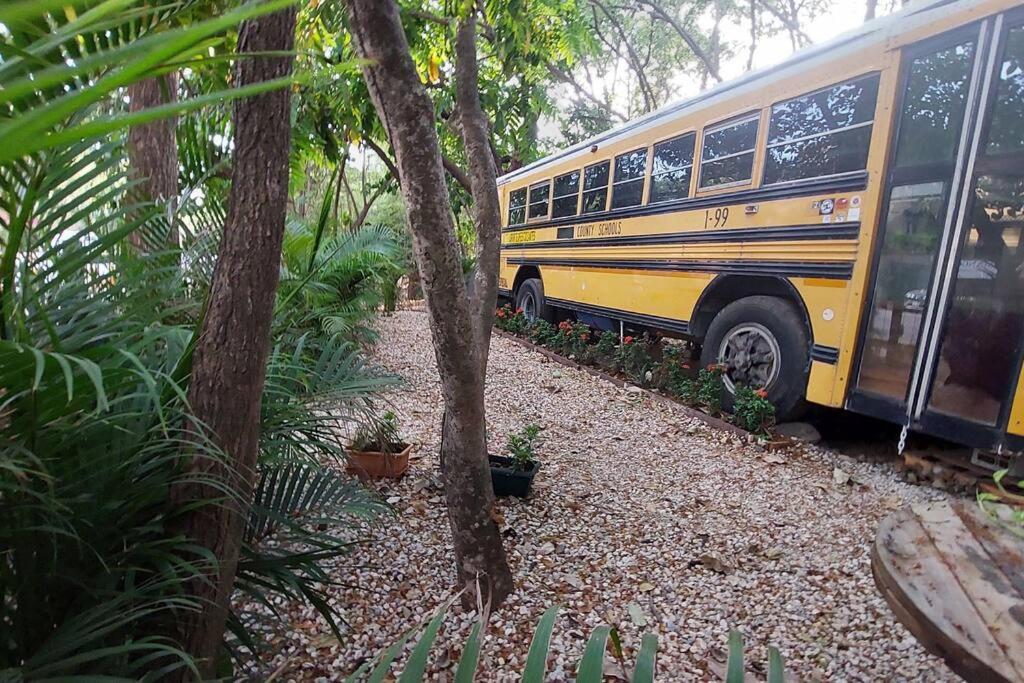 CasaBus beautiful bus dept. 50m from beach